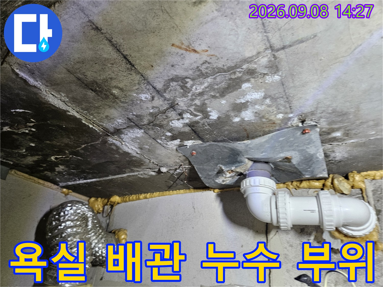 인천 부평구-욕실 배수관 연결부 주변의 습기와 오염 상태를 보여주는 사진입니다.