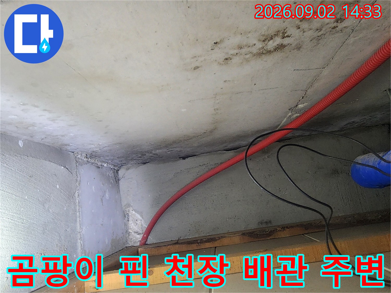 빨간 배관 주변의 콘크리트 벽면 누수 및 곰팡이 발생 상태