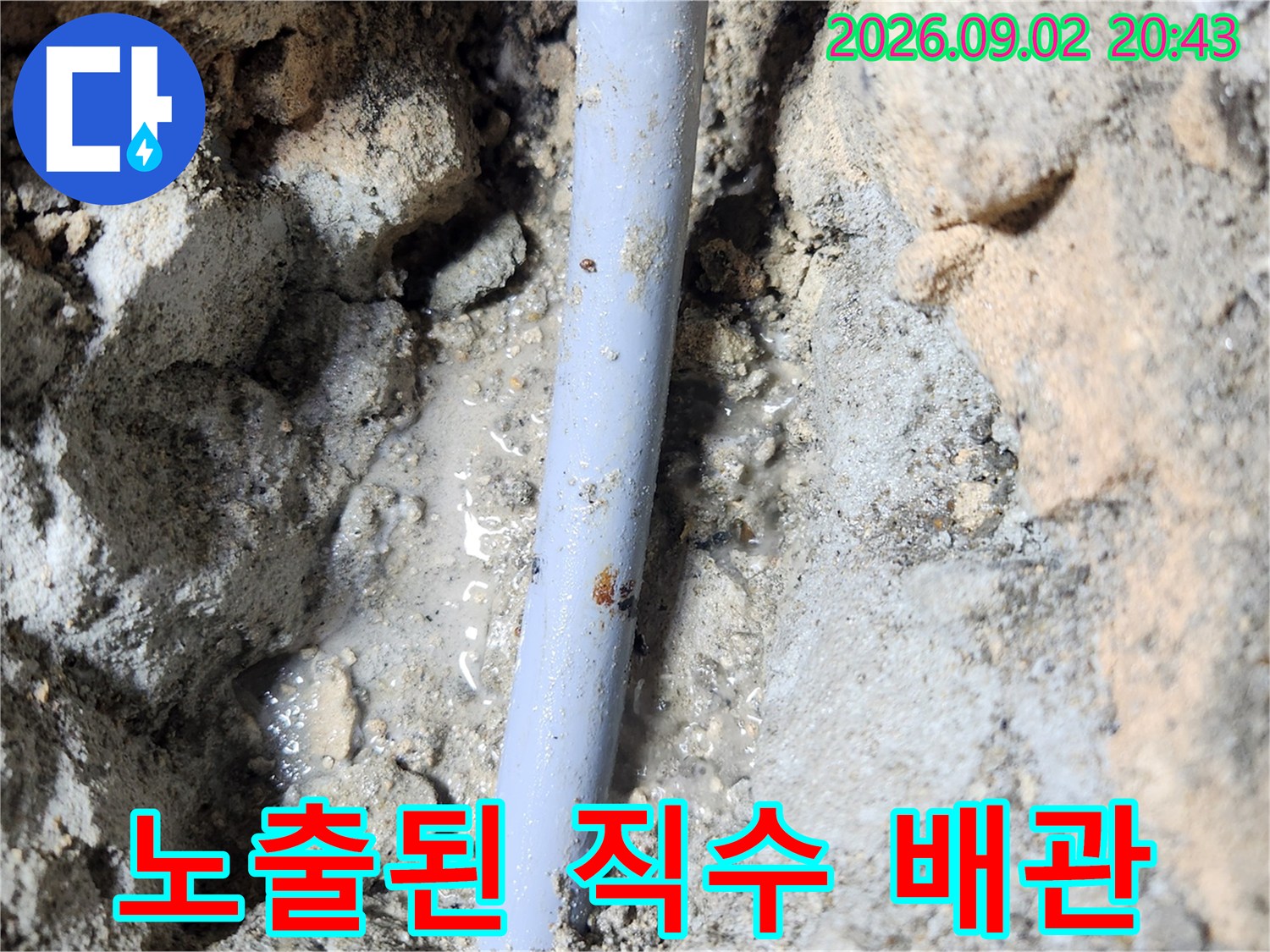 흙과 시멘트 사이로 드러난 파란색 직수 배숭의 모습입니다.