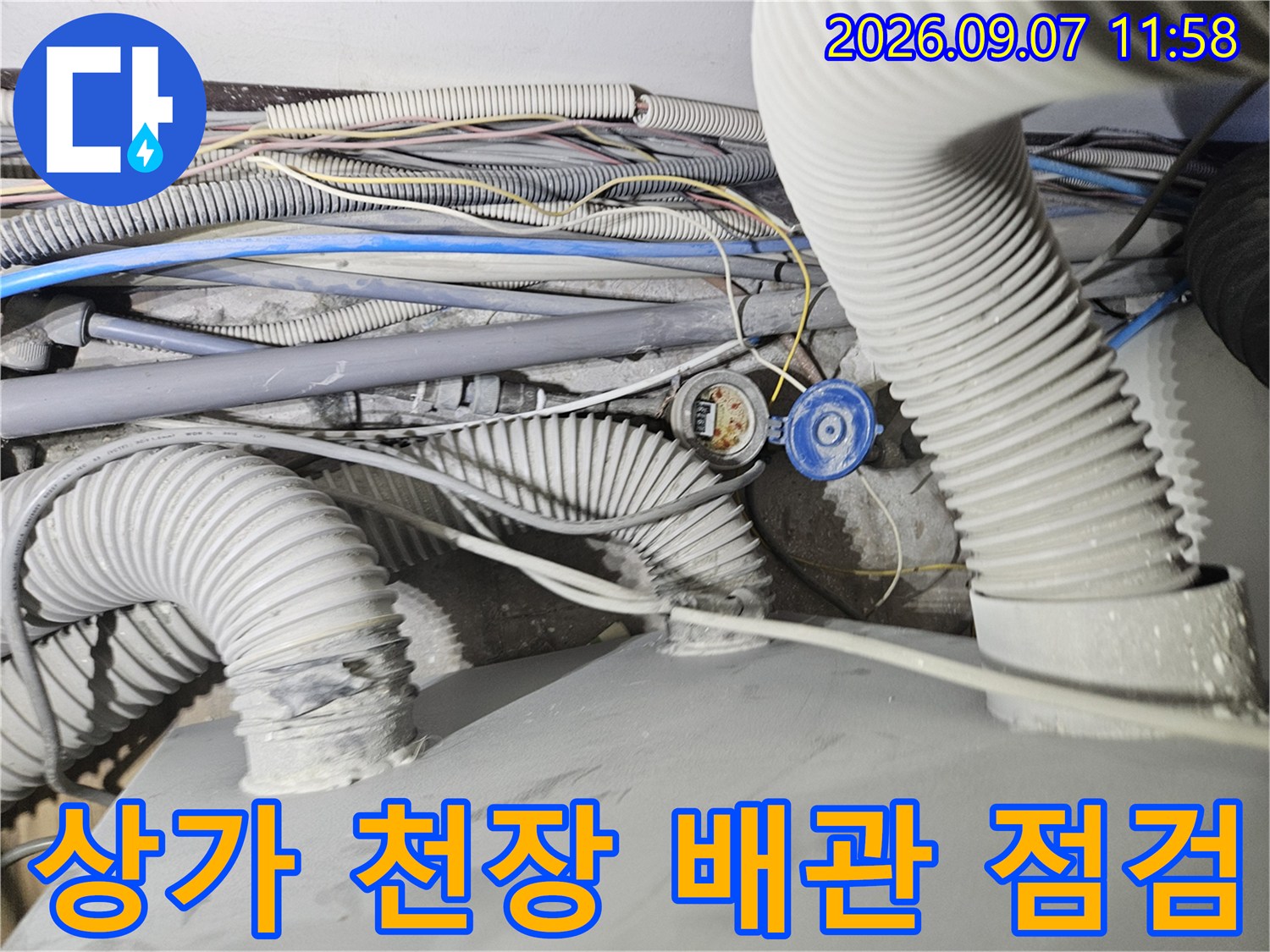 의정부 호원동 상가 내부 천장의 주름관과 전기 배선 상태를 촬영한 사진입니다.