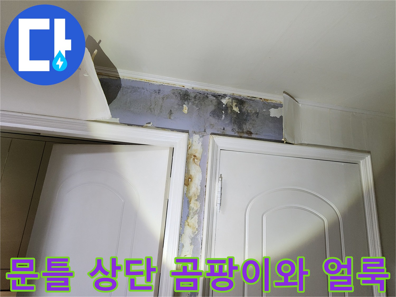 은평구 신사동 현장의 - 문틀 상단에 발생한 곰팡이와 페인트 벗겨짐 상태