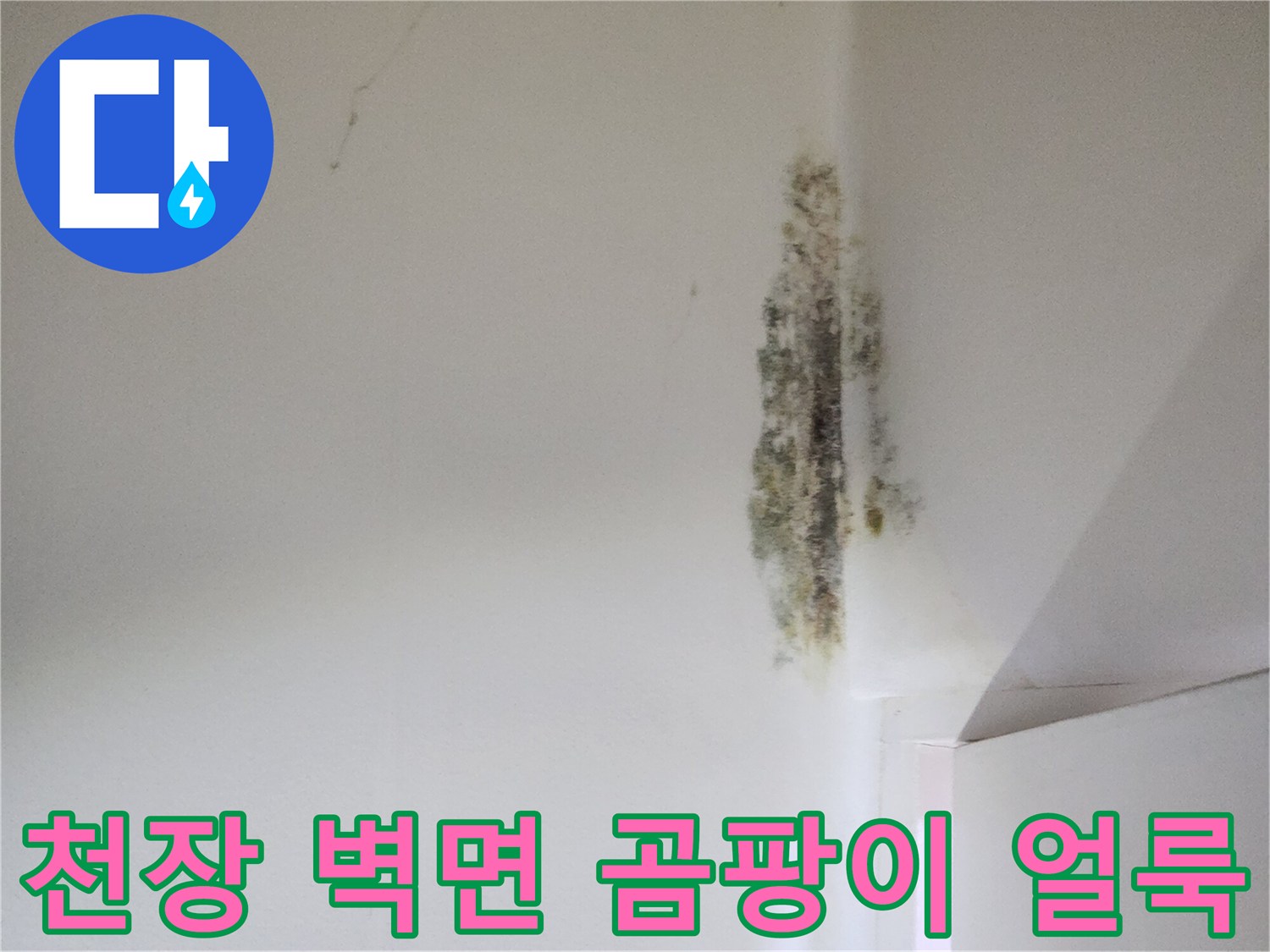 은평구 현장-화장실 천장과 벽면 경계에 발생한 곰팡이와 습기 흔적