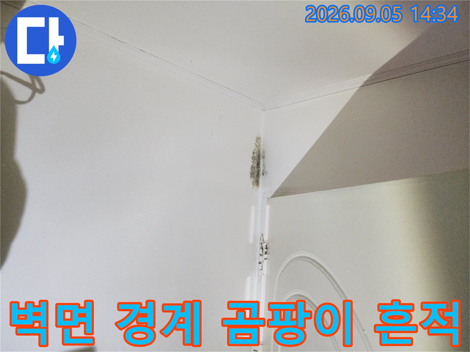 화장실 문틀 상단 벽지 경계면에 나타난 곰팡이와 변색된 부분