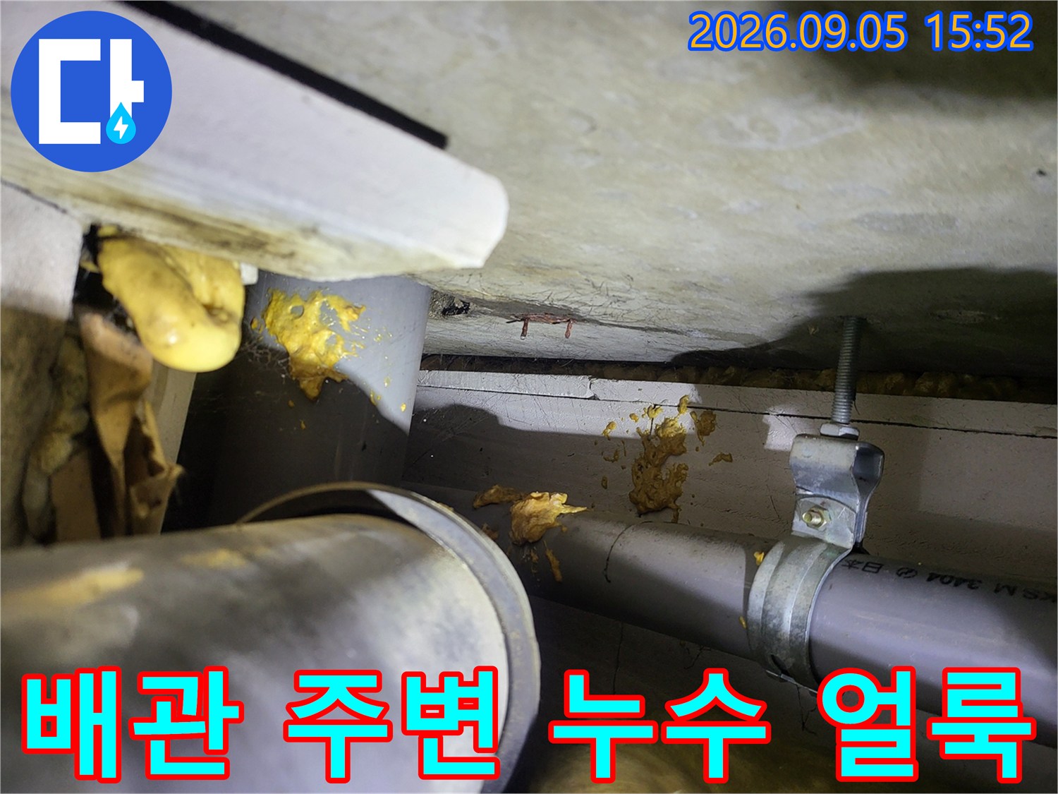 여주 현암동 아파트 천장 배관 주변의 노란 누수 흔적과 오염 상태