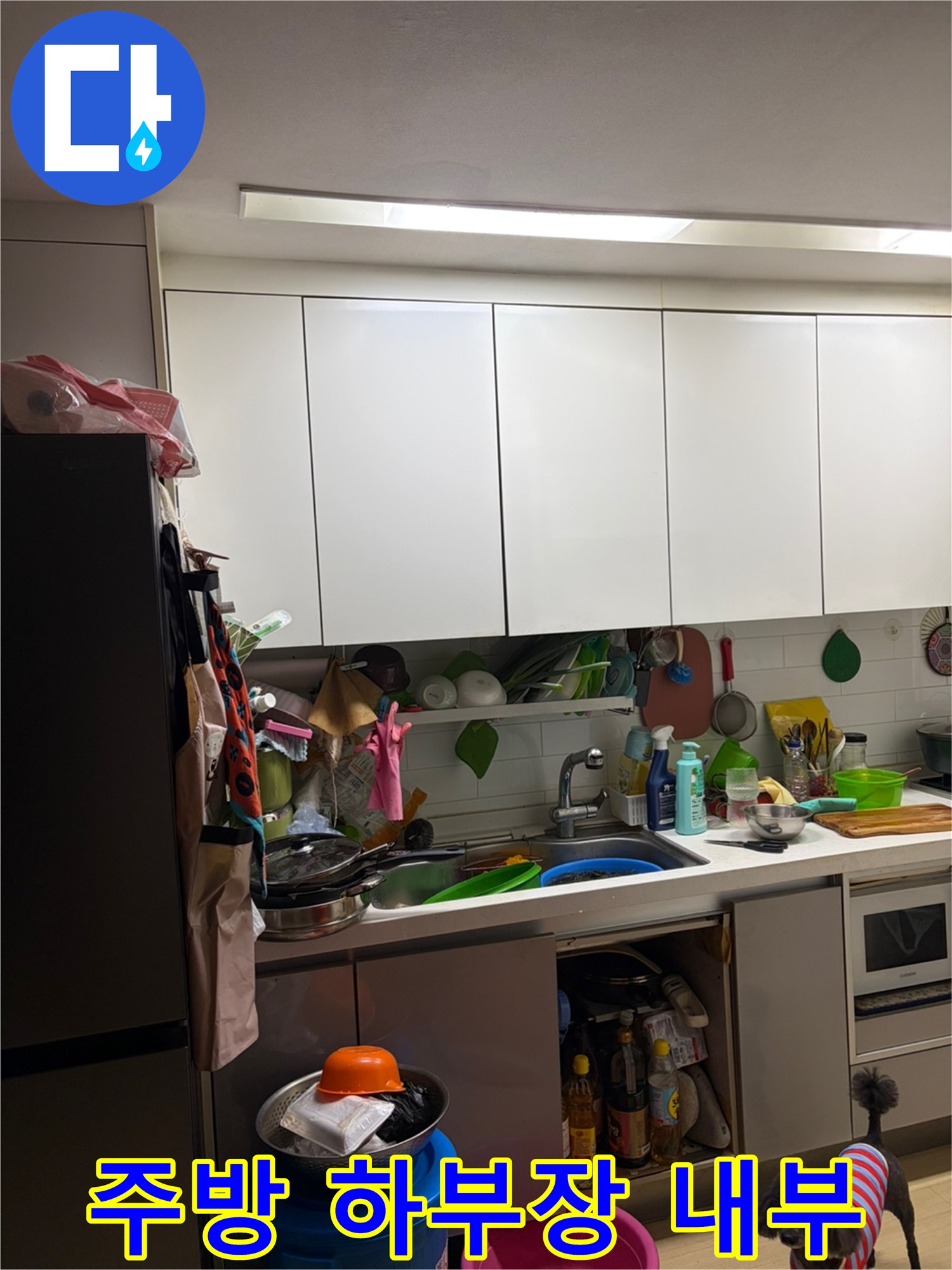 싱크대 아래쪽 수납 공간과 세제류가 있는 모습입니다.
