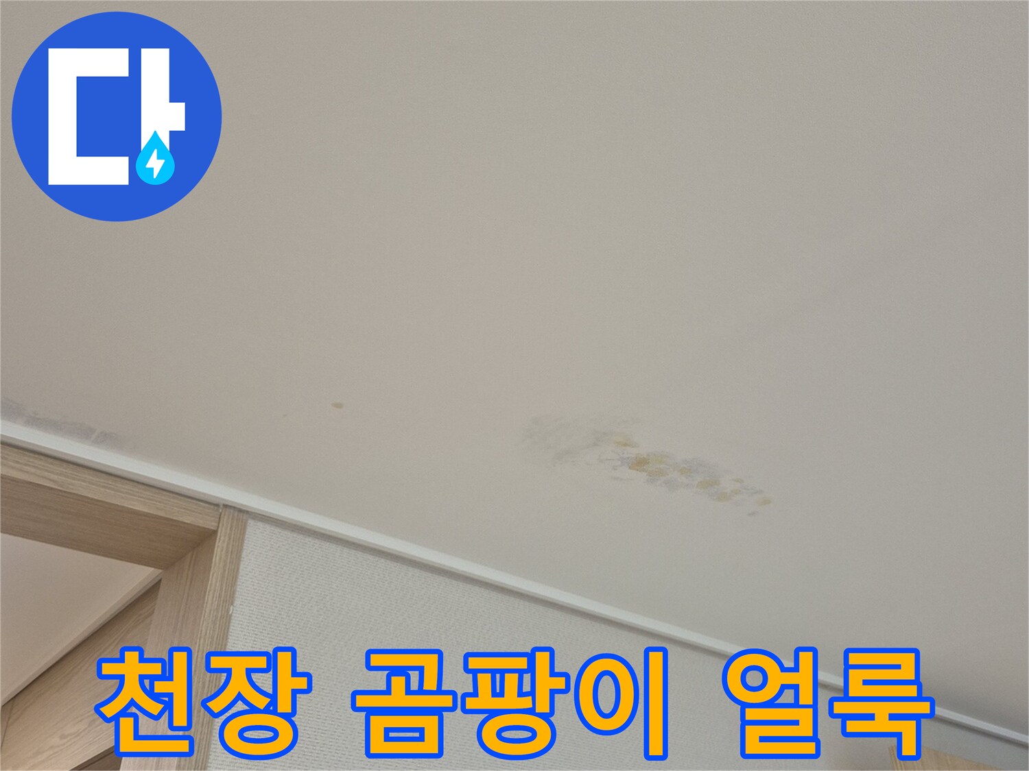 용인 동천동 주택 - 천장에 발생한 누수 흔적과 곰팡이 부위