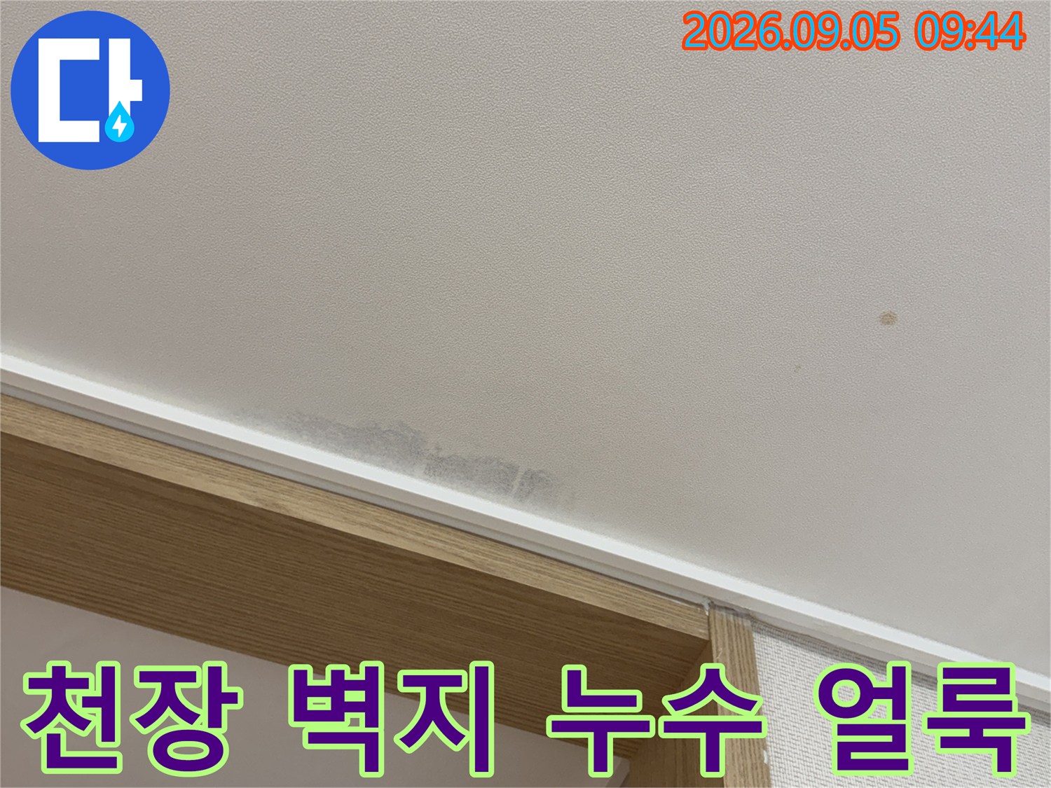 천장 가장자리 부근에 발생한 어두운 습기 흔적과 변색