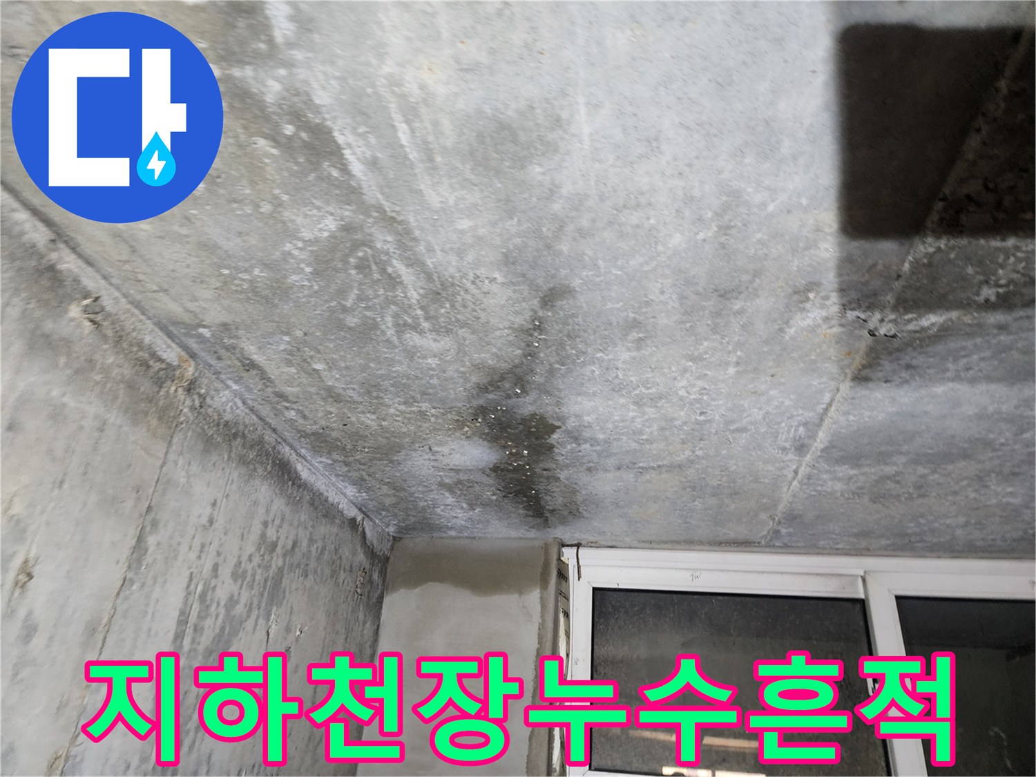 연천 전곡읍 빌라-지하층 천장 콘크리트 젖음 현상