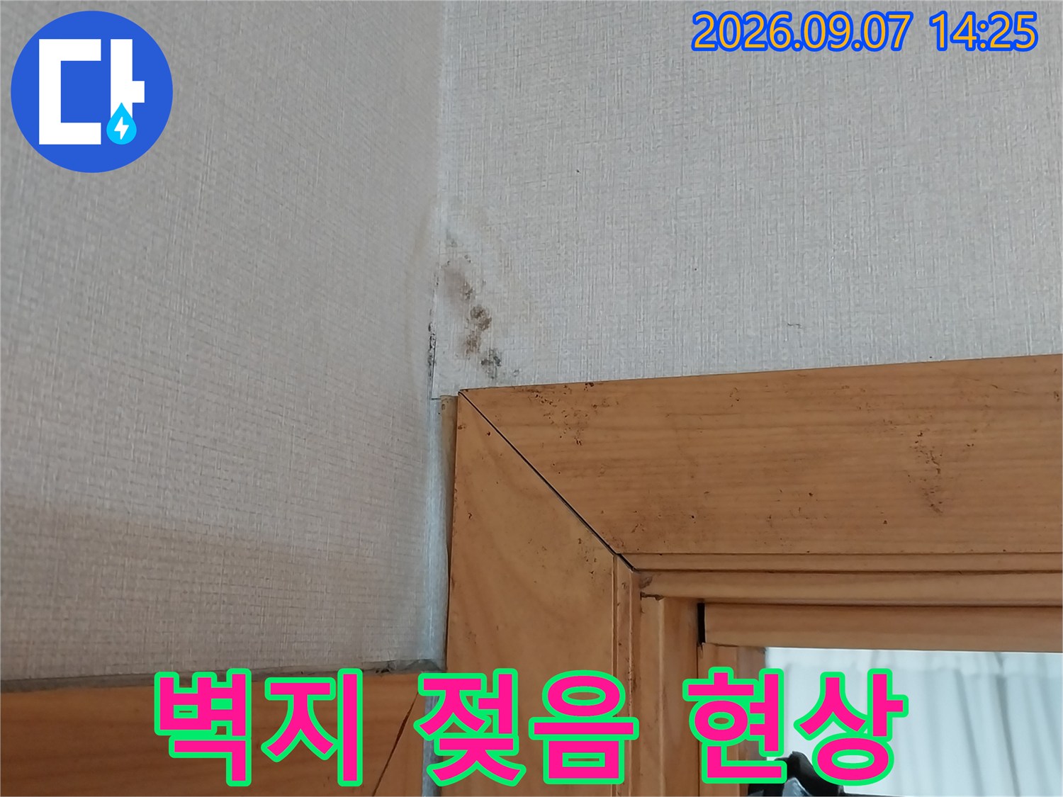 문틀 하단 벽지가 물에 젖어 색이 변한 모습입니다.