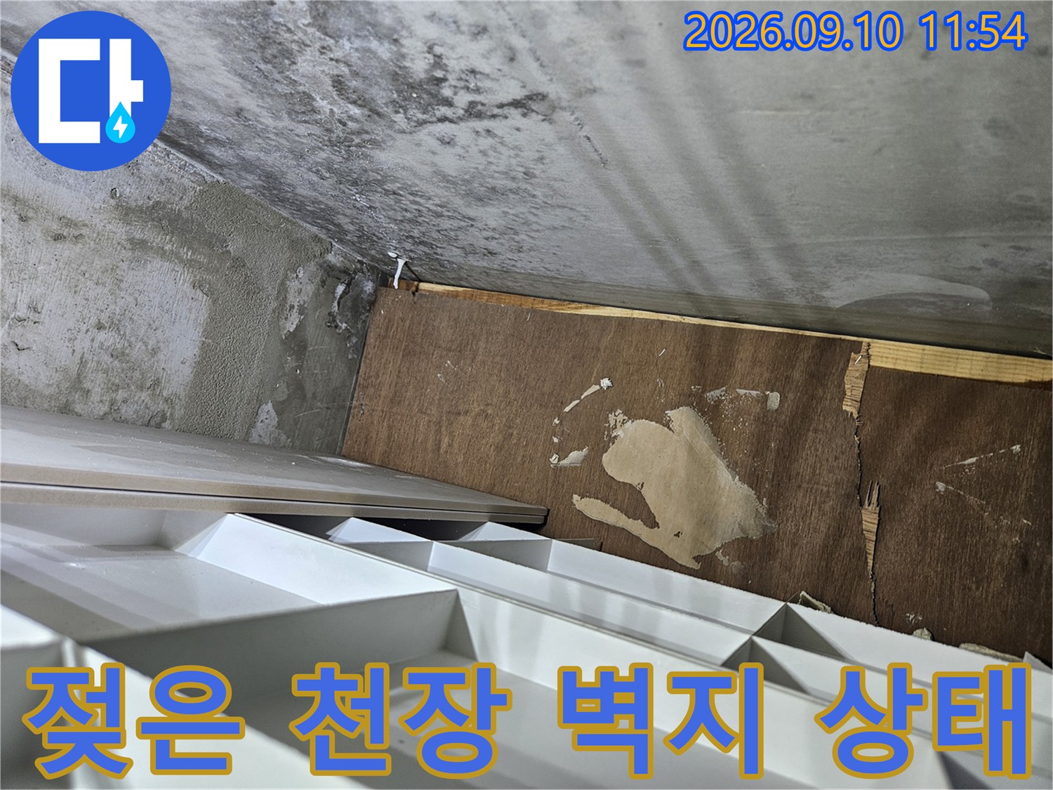 의정부 민락동 현장의-젖어있는 천장 벽지와 콘크리트 벽면 모습입니다.