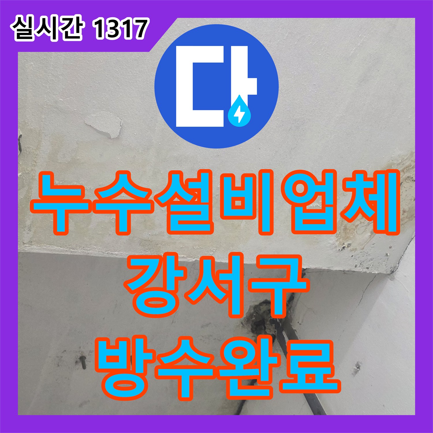 누수설비업체 지하 공장 천장 누수를 유발한 1층 상가 음식점의 방수층 및 배관 결함 보수 사례 서울 강서구 화곡동