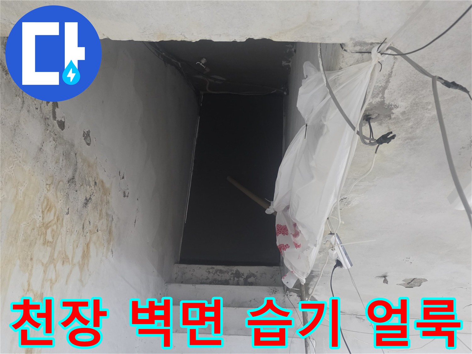 화곡동 지하 공간-벽면과 천장에 발생한 젖은 얼룩