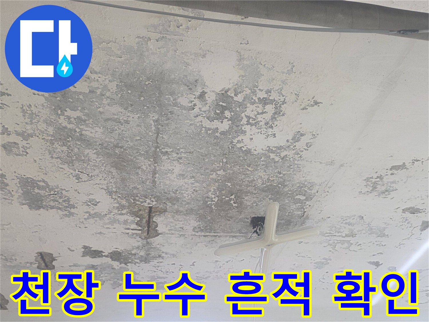 화곡동 지하층-천장 콘크리트 표면의 물샘 흔적과 얼룩