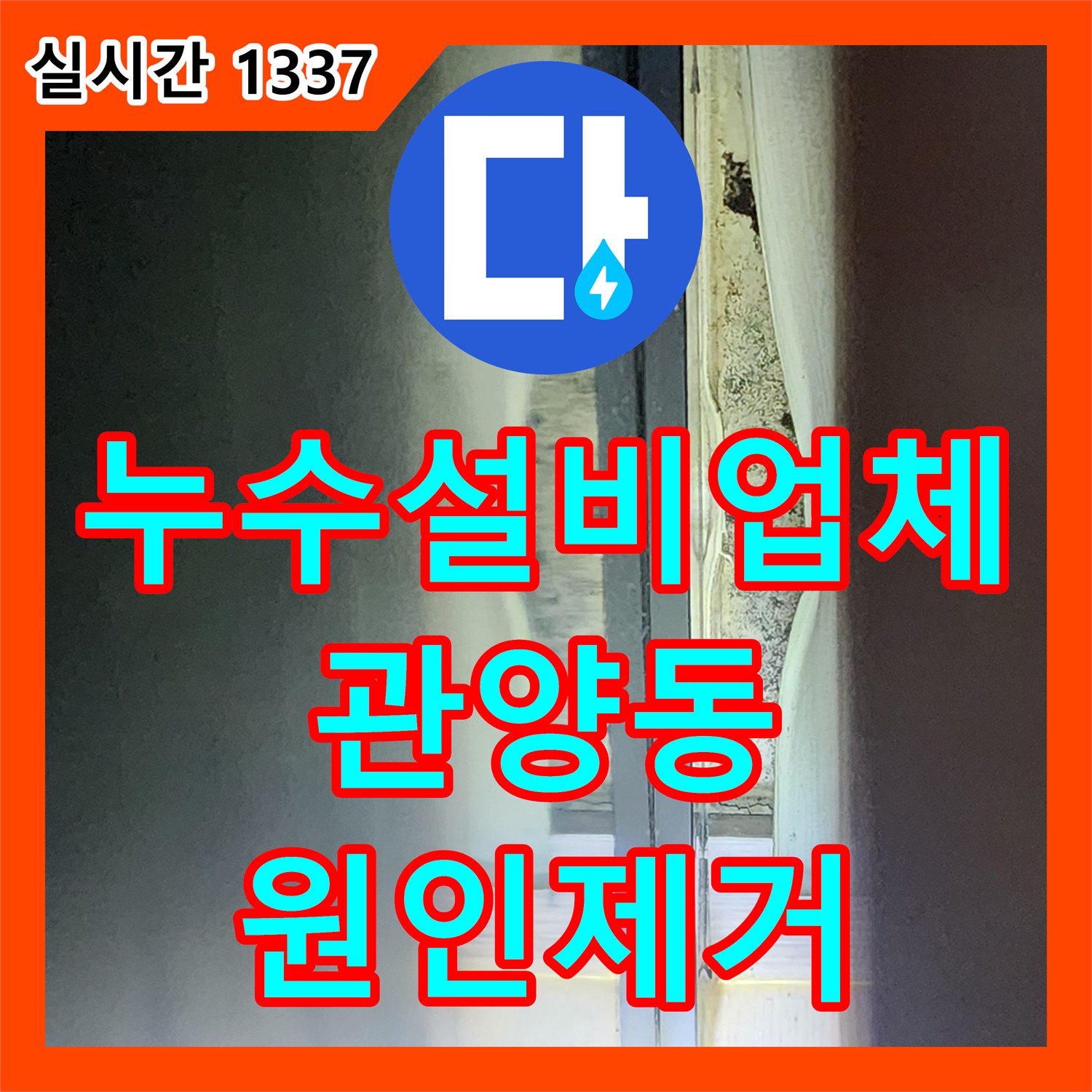 누수설비업체 방치하면 위험한 고층 세대 화장실 및 거실 누수 정밀 진단 경기 안양시 동안구 관양동
