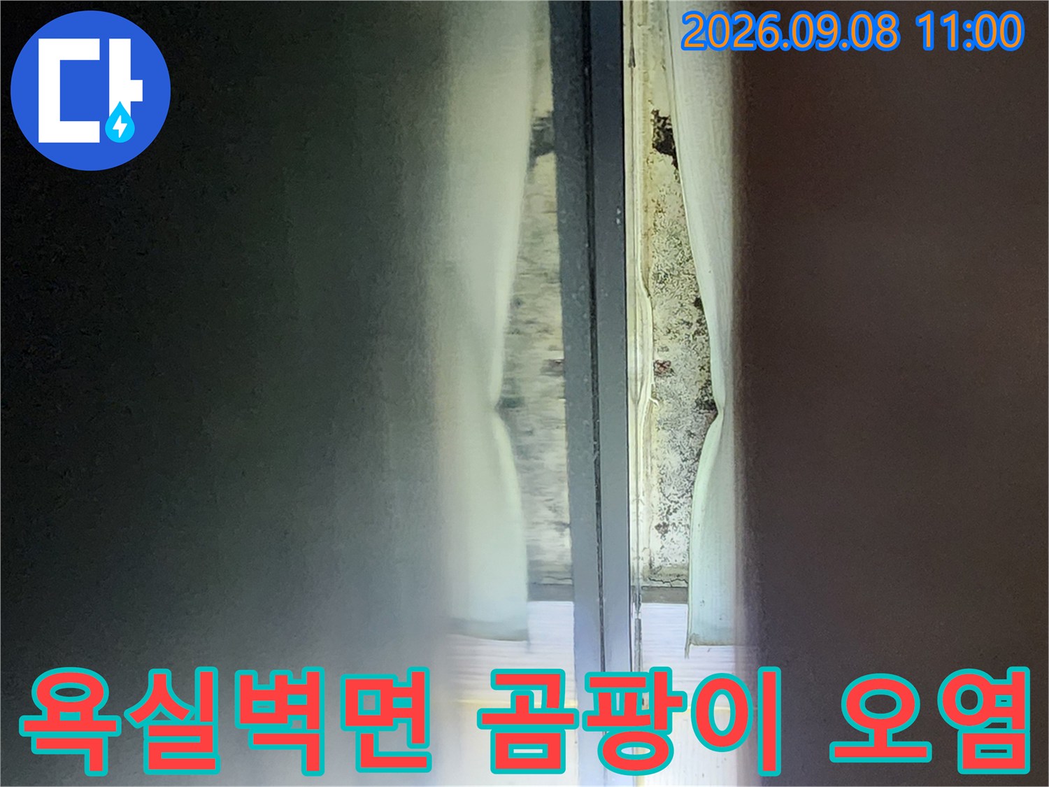 안양 동안구 관양동 현장의-샤워부스 벽면 곰팡이와 타일 오염 상태
