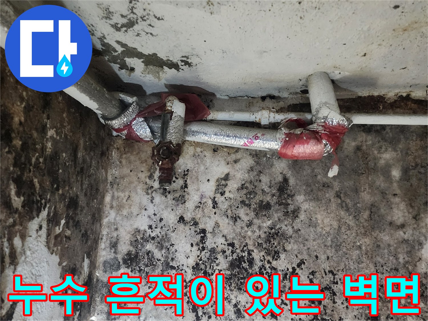 곰팡이가 번진 지하실 벽면과 노후된 수도 배관의 모습