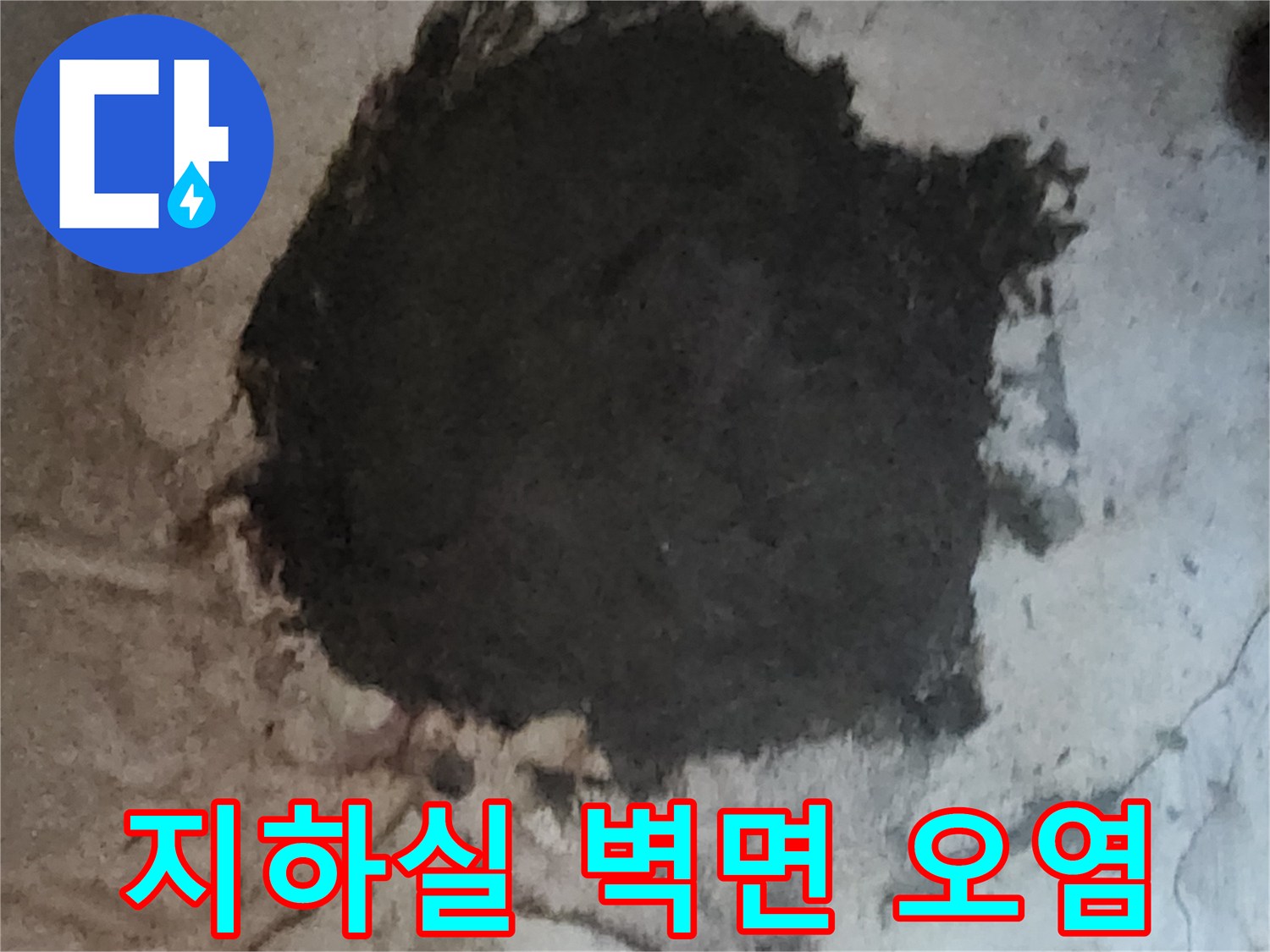 누수로 인해 검게 변한 지하실 벽면-곰팡이 발생 상태