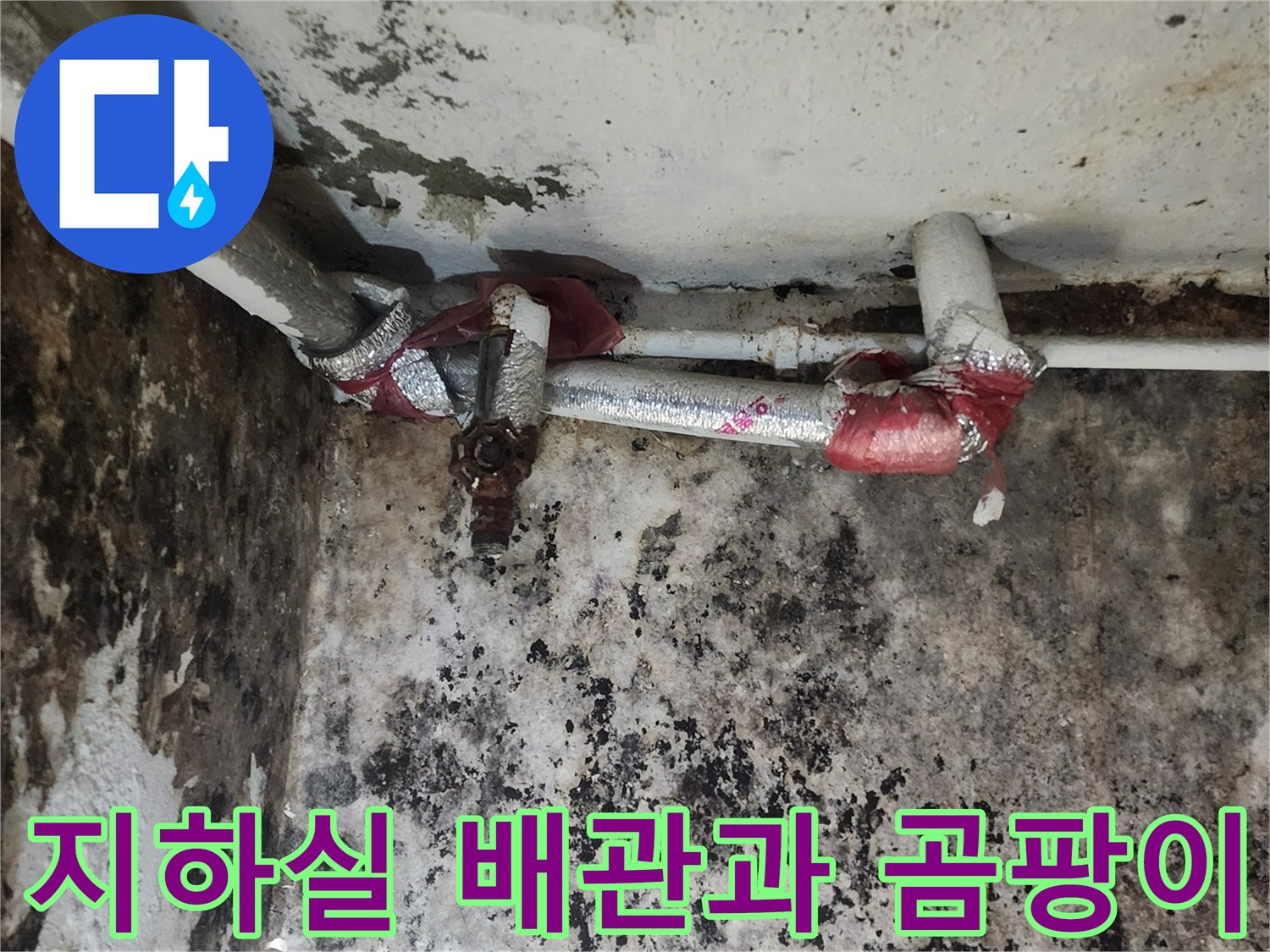 서초구 염곡동 지하실-배관 주변의 곰팡이와 습기 상태