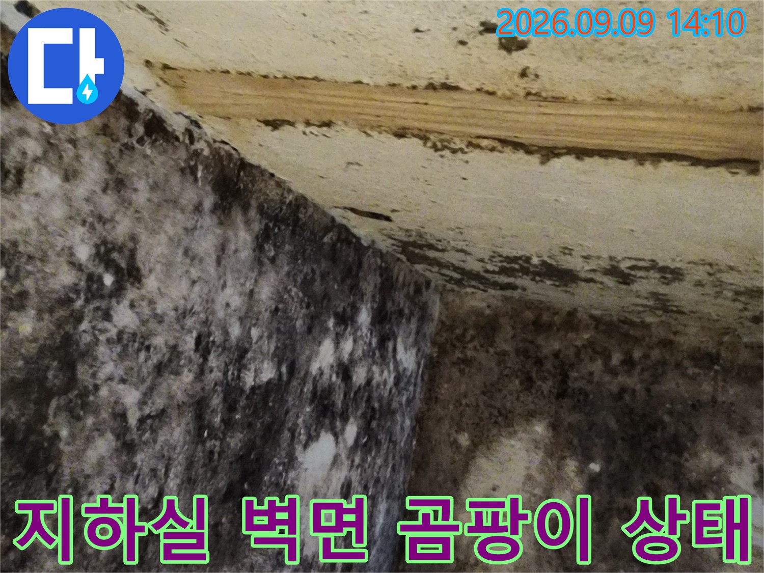 서초구-염곡동-지하실-벽면에-심하게-퍼진-곰팡이와-습기 흔적