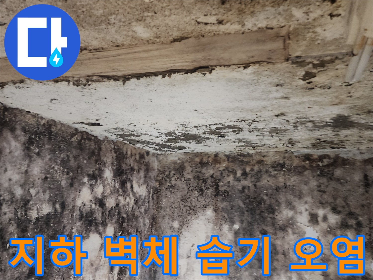습기로 인해 변색되고 곰팡이가 발생한 지하실 내부 모습