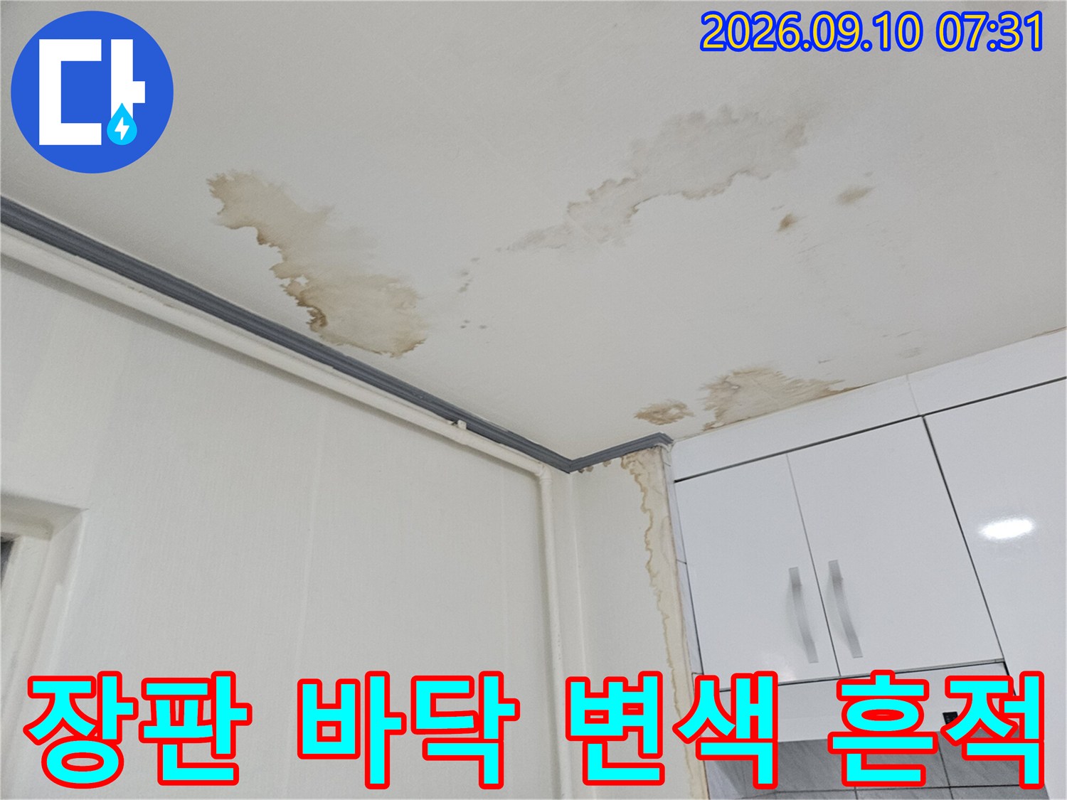 용인 죽전동 현장의 하얀색 장판 위로 갈색 물번짐과 변색이 나타난 모습입니다.