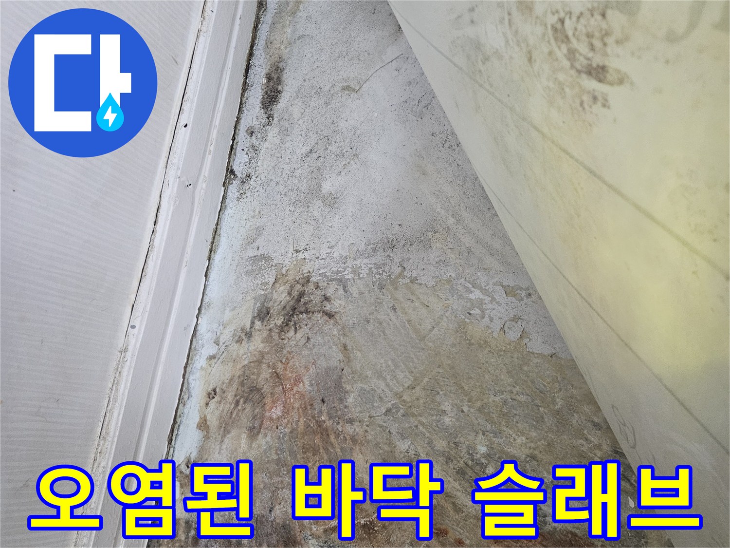 죽전동 현장-누수로 인해 얼룩지고 변색된 바닥 면적