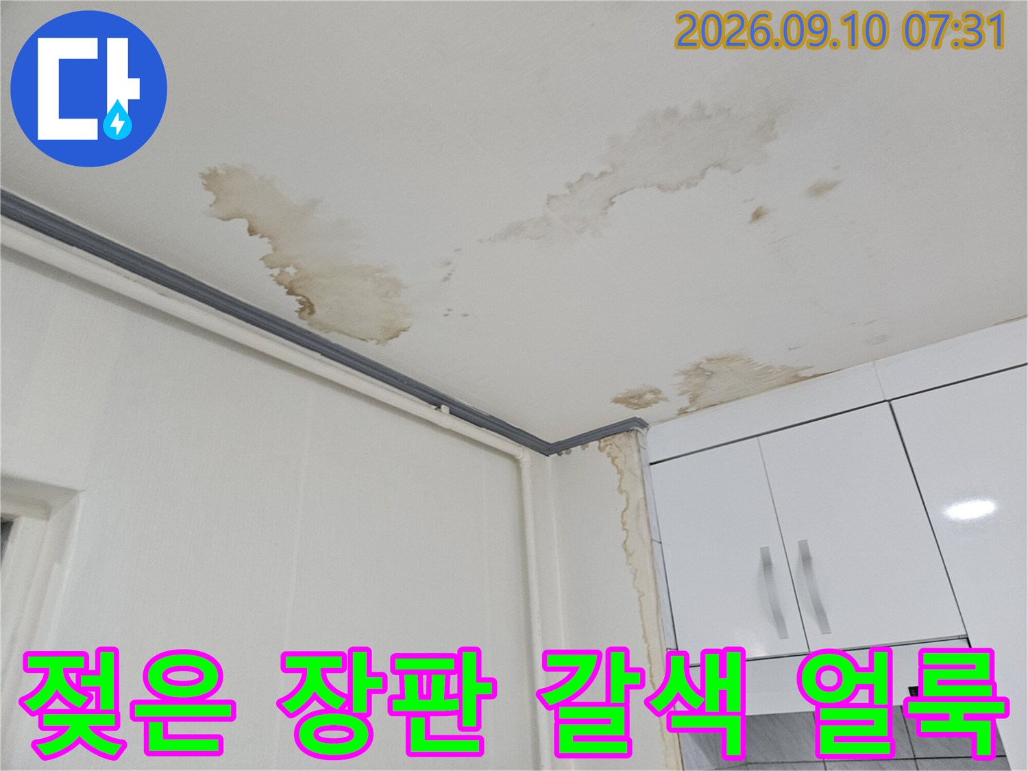 하얀색 장판 위에 넓게 퍼진 갈색의 물 번짐 자국과 변색된 벽면