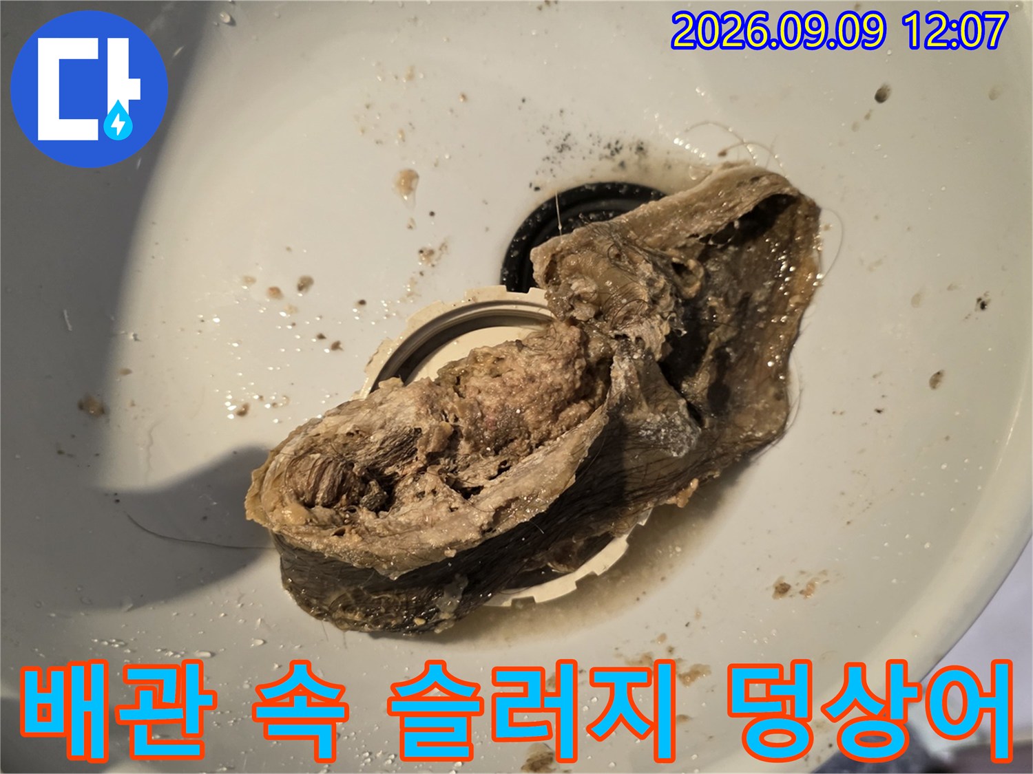 남양주 덕소리 현장-욕실 배관 내부에서 발견된 거대한 슬러지 덩어리