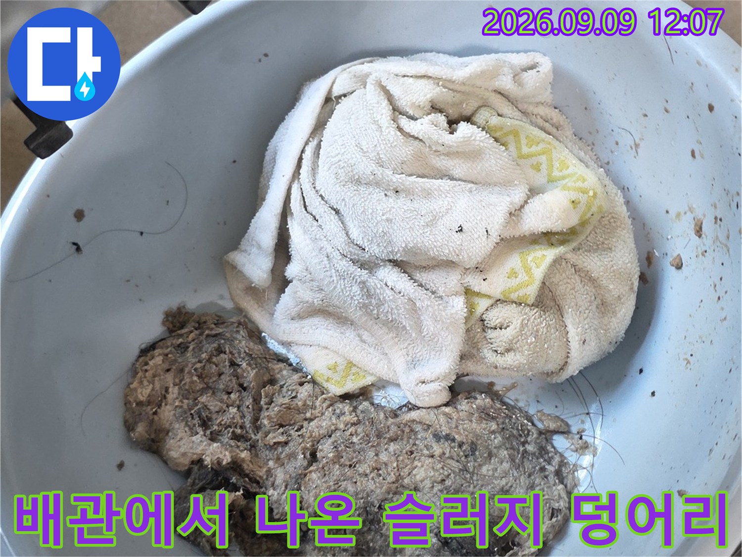 남양주 덕소리 현장에서 배관 세척 후 수거된 머리카락과 이물질 덩어리입니다.