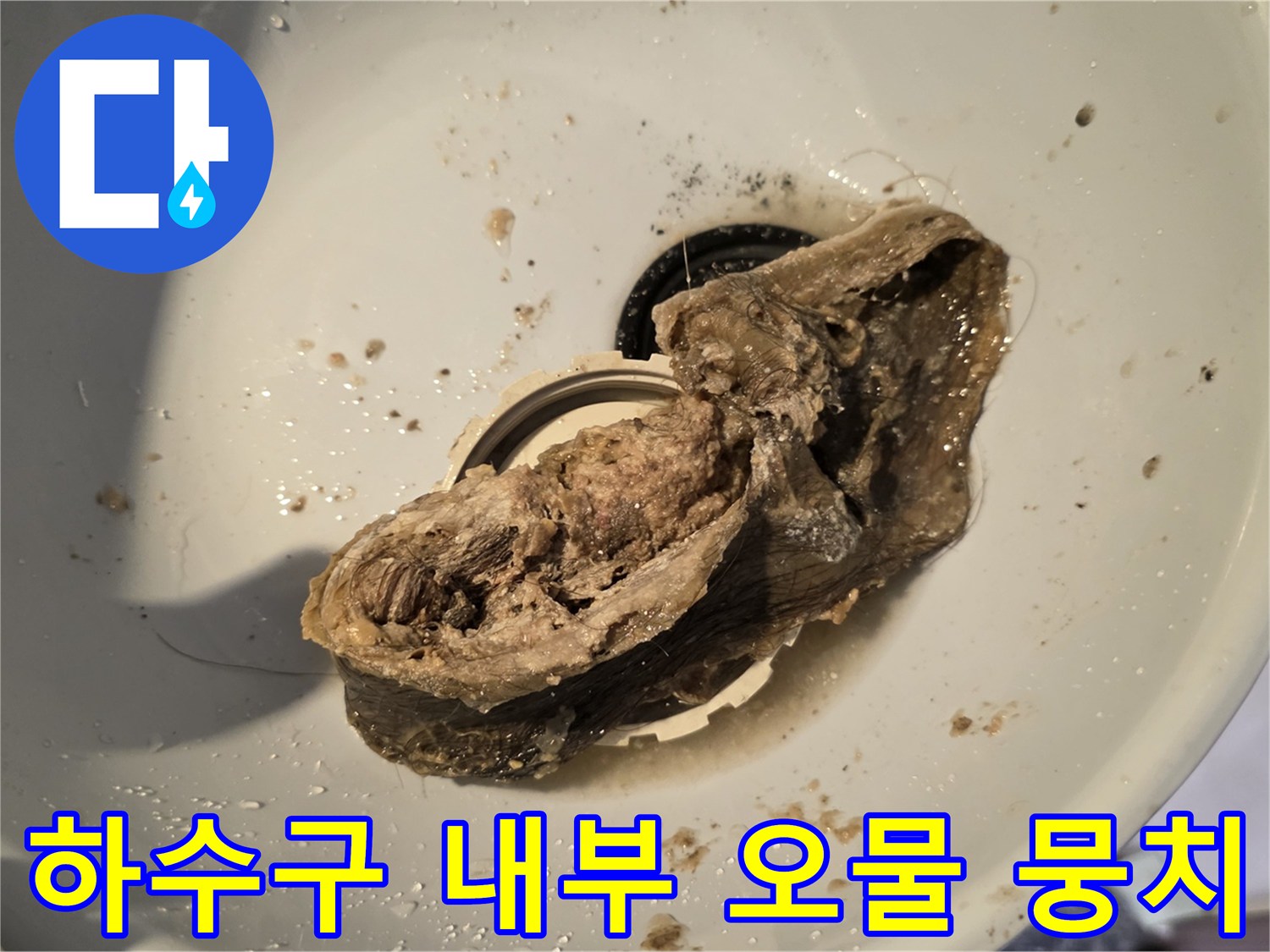 배수구-틈새에서-나온-머리카락과-오염된-덩어리