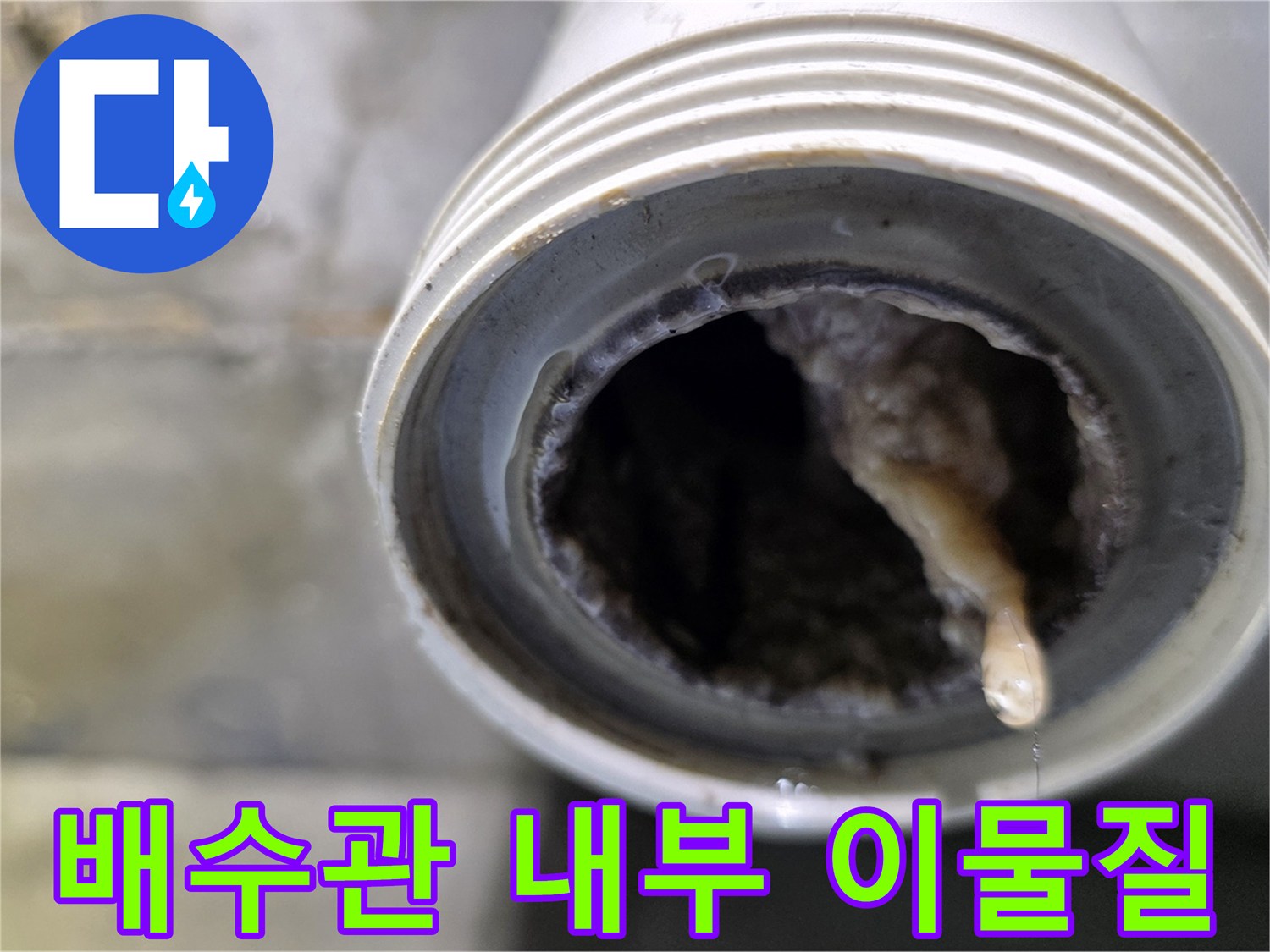 화장실-배수관-입구에-쌓인-오물과-이물질-상태
