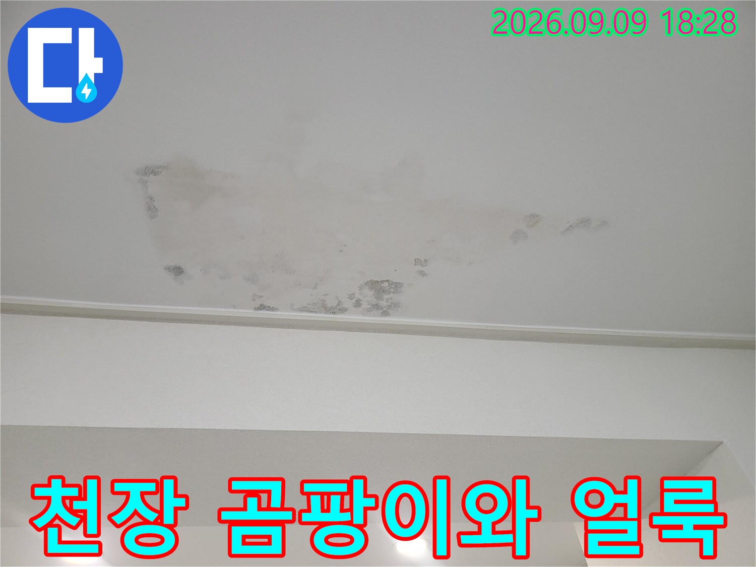 천장 벽면-습기로 인해 발생한 곰팡이와 변색된 부위