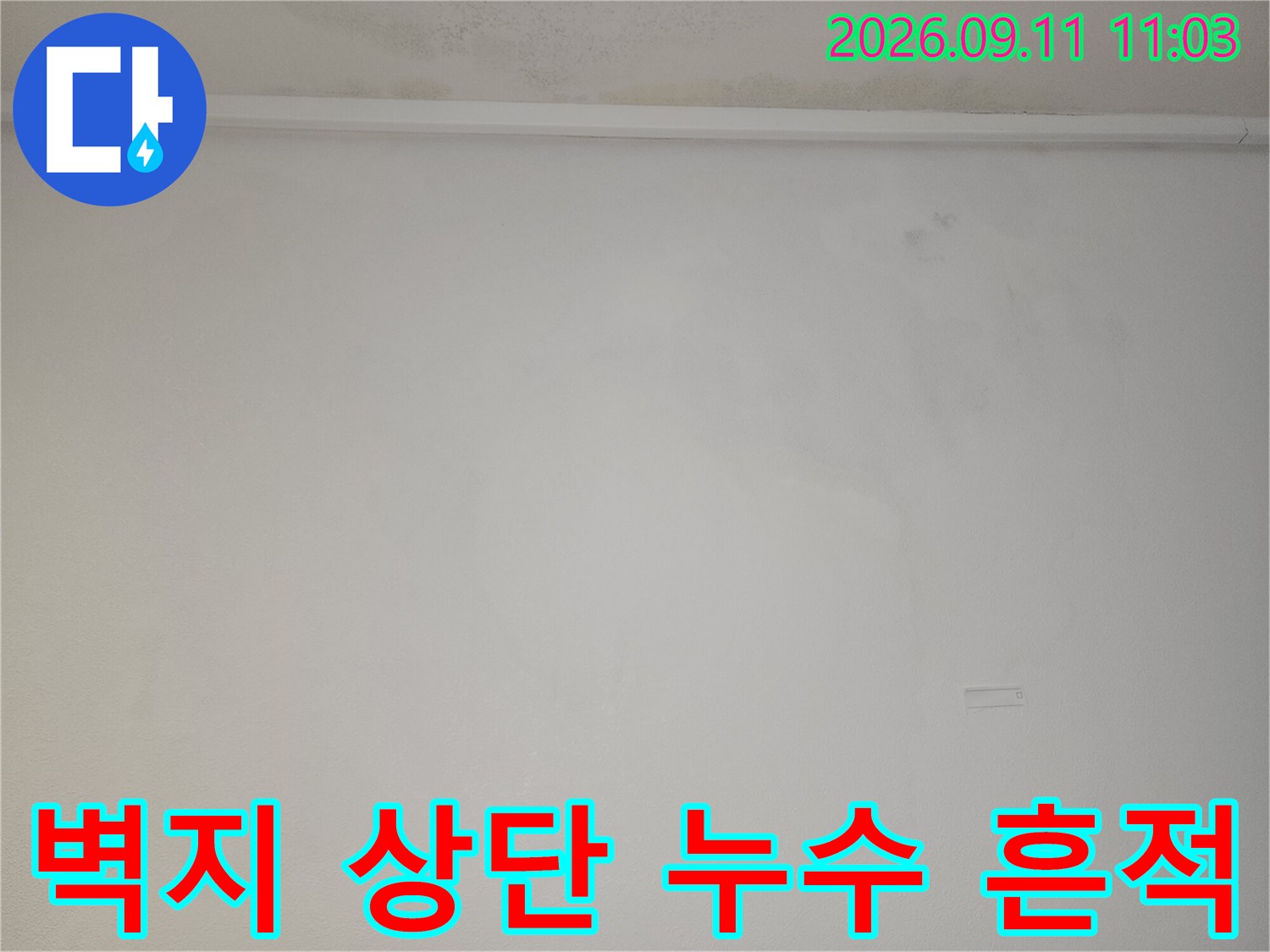 천장 가장자리 벽지의 물샘 및 변색된 영역