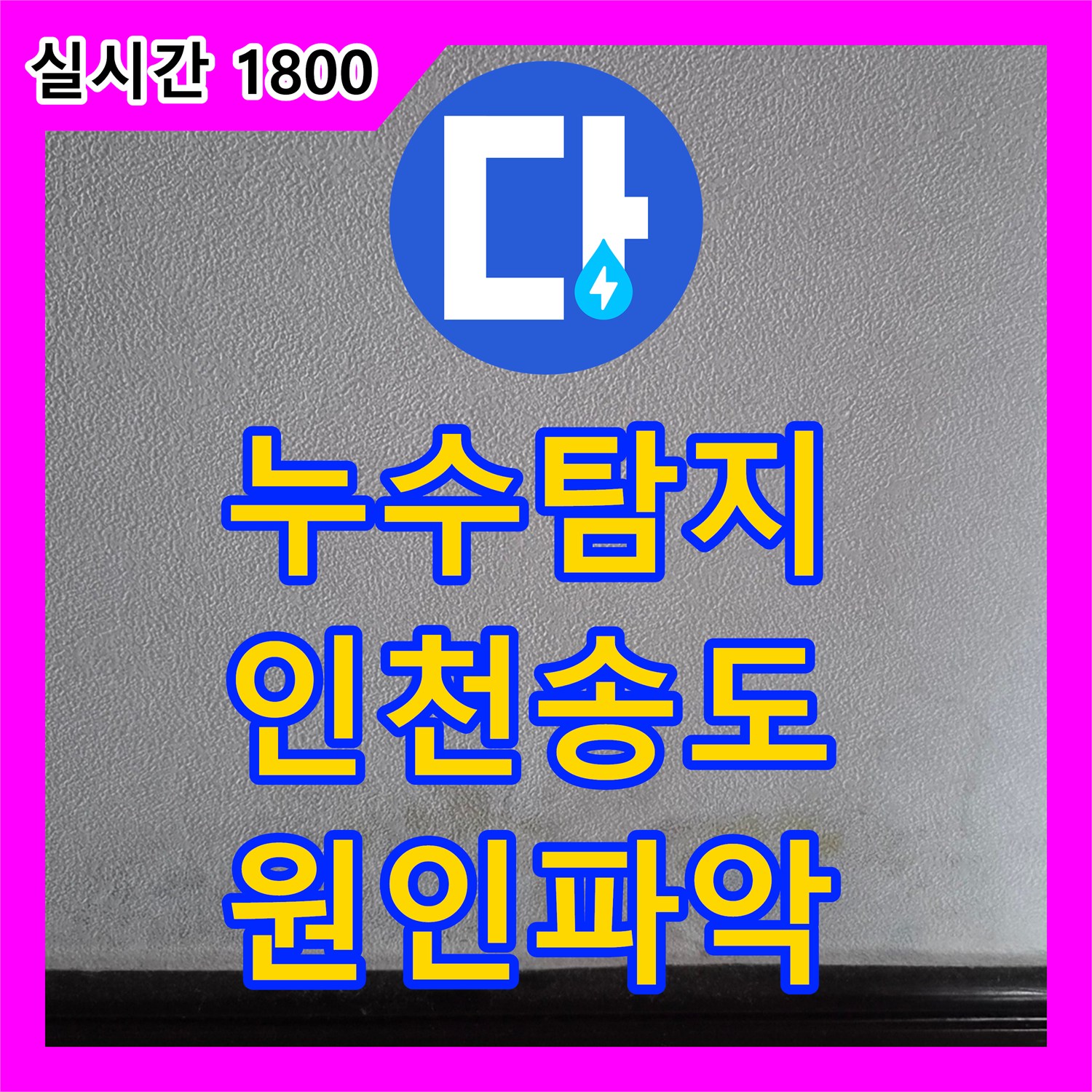 누수탐지 화장실 인접 벽면의 곰팡이와 습기 원인을 찾아 정밀하게 보수한 사례 인천 연수구 송도동