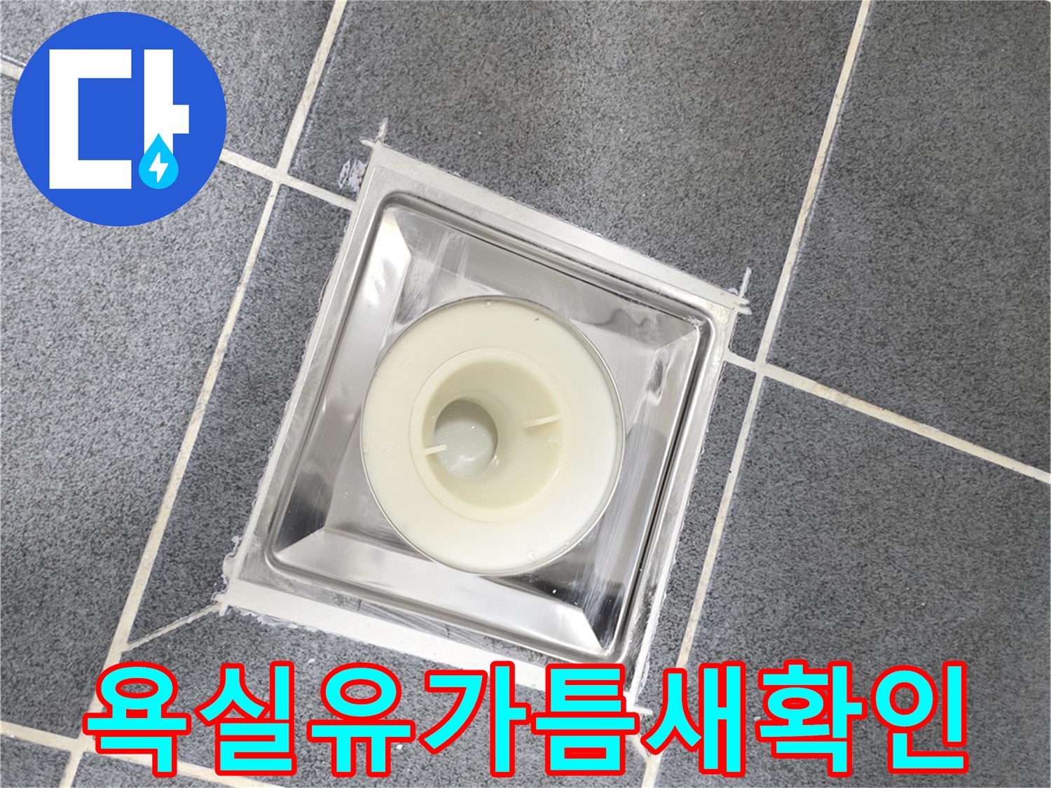 배수구 유가와 타일 접합부의 틈새를 근접 촬영한 사진입니다.