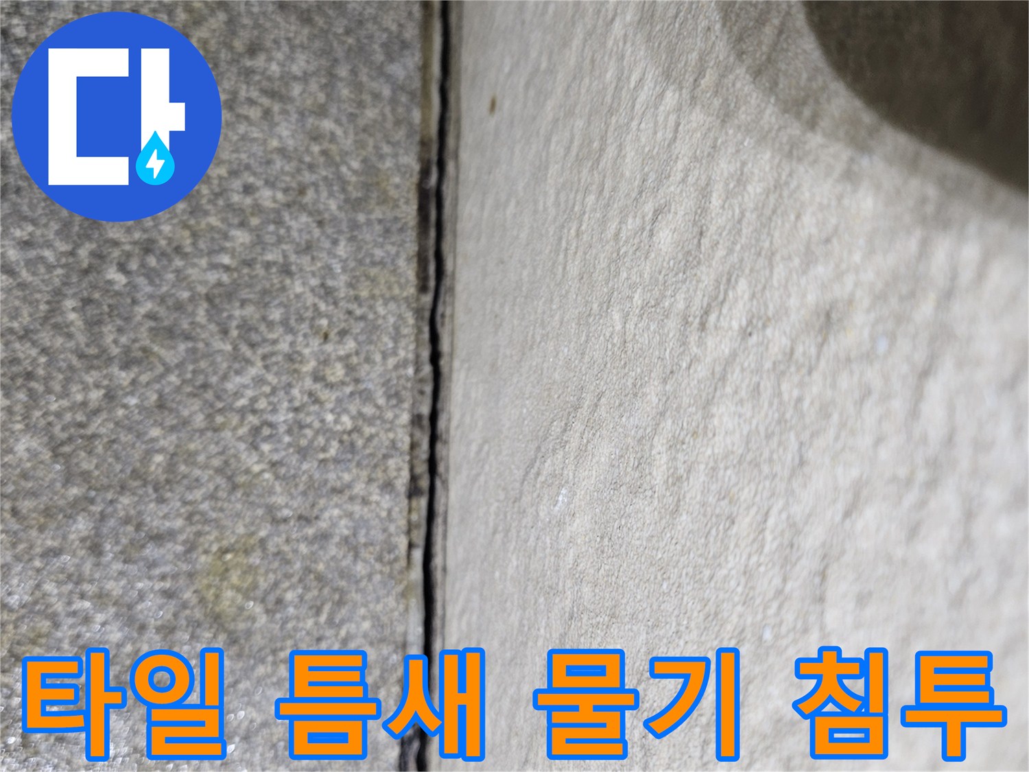 의정부 호원동 현장-물기가 스며든 타일 접합부 상세 사진