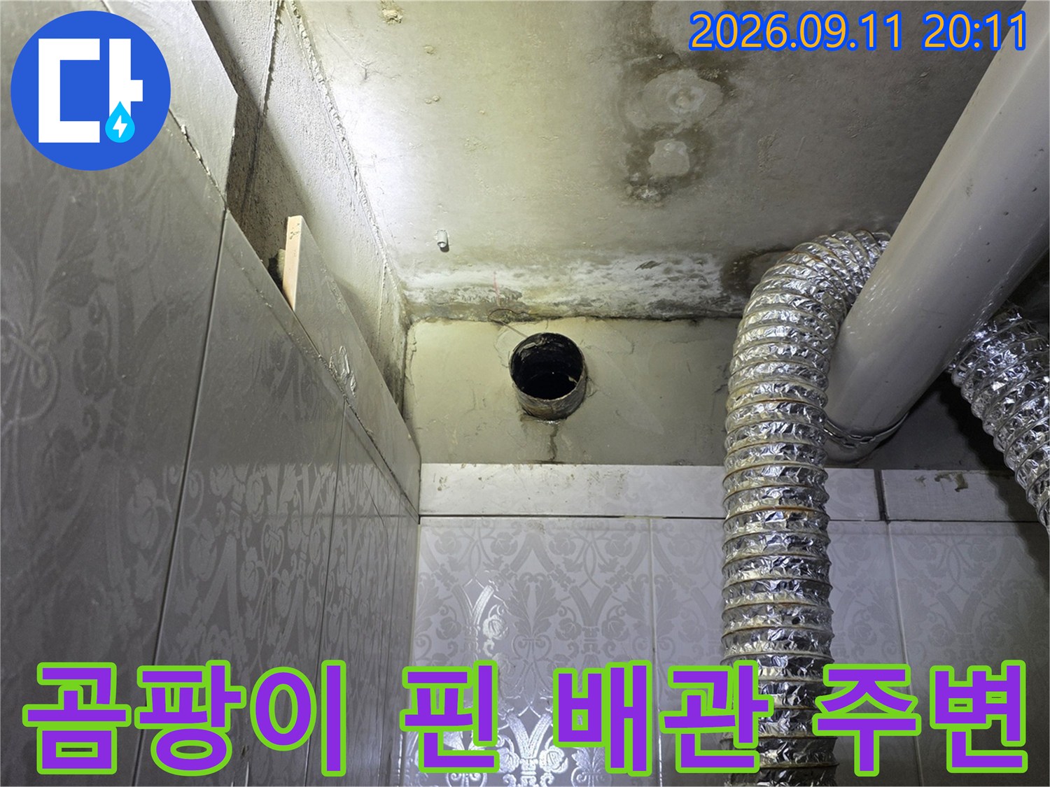 오염된 벽면과 - 배관 주변의 곰팡이 상태 촬영