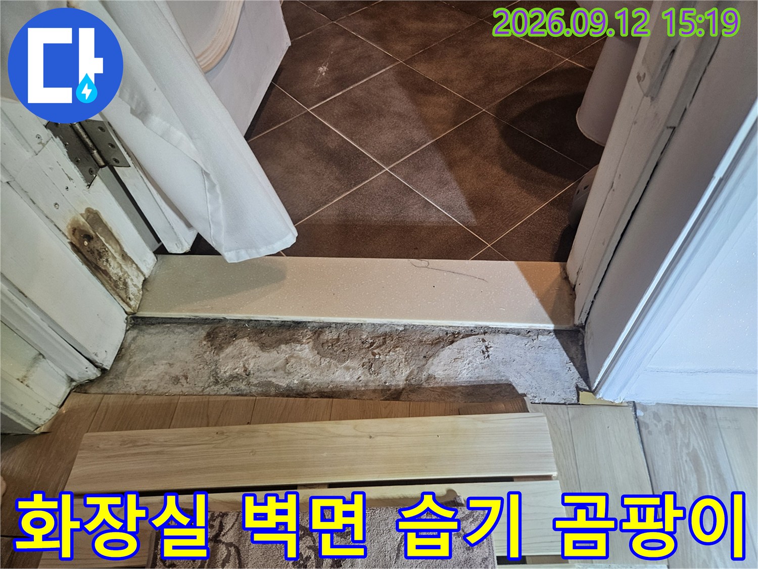고양시 일산동구 화장실-벽면 하부의 젖은 흔적과 곰팡이 발생 상태