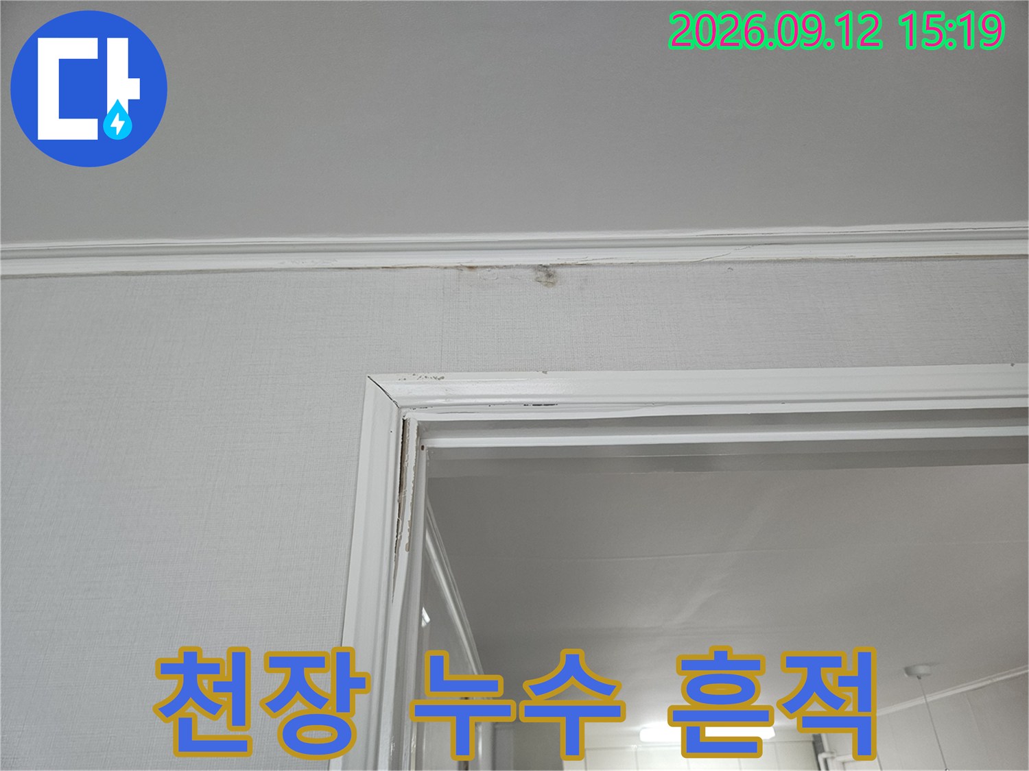 고양시 일산동구-화장실 천장 가장자리 누수 얼룩 현황