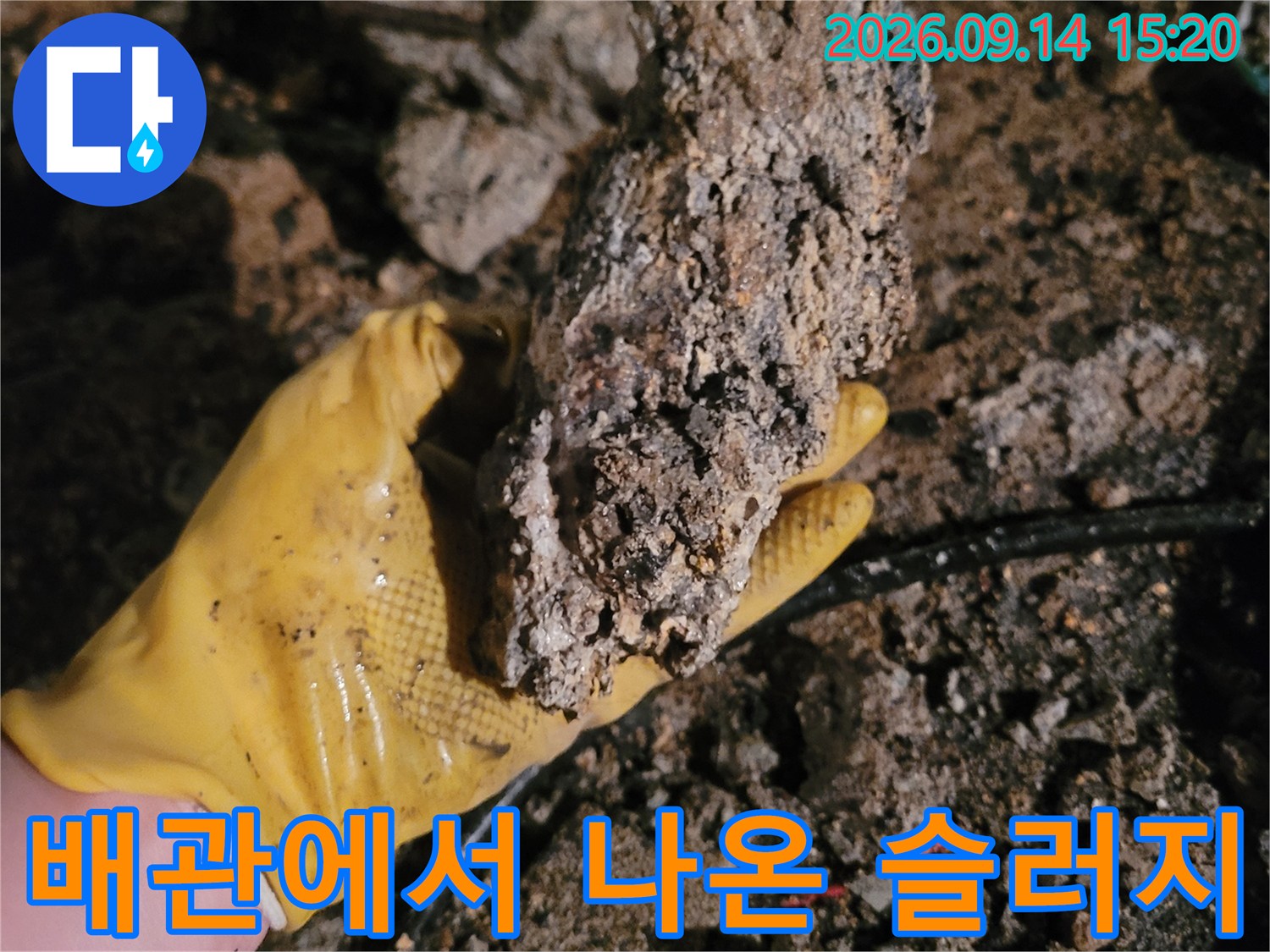노란 작업 장갑에 들린 커다란 배관 슬러지 덩어리
