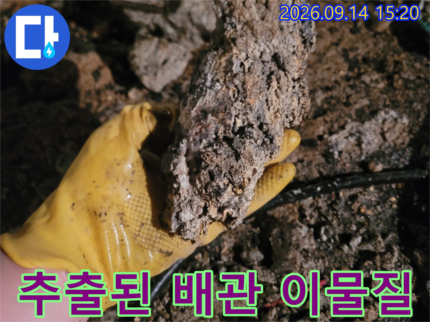 작업자가 손에 들고 있는 커다란 하수구 슬러지 덩어리