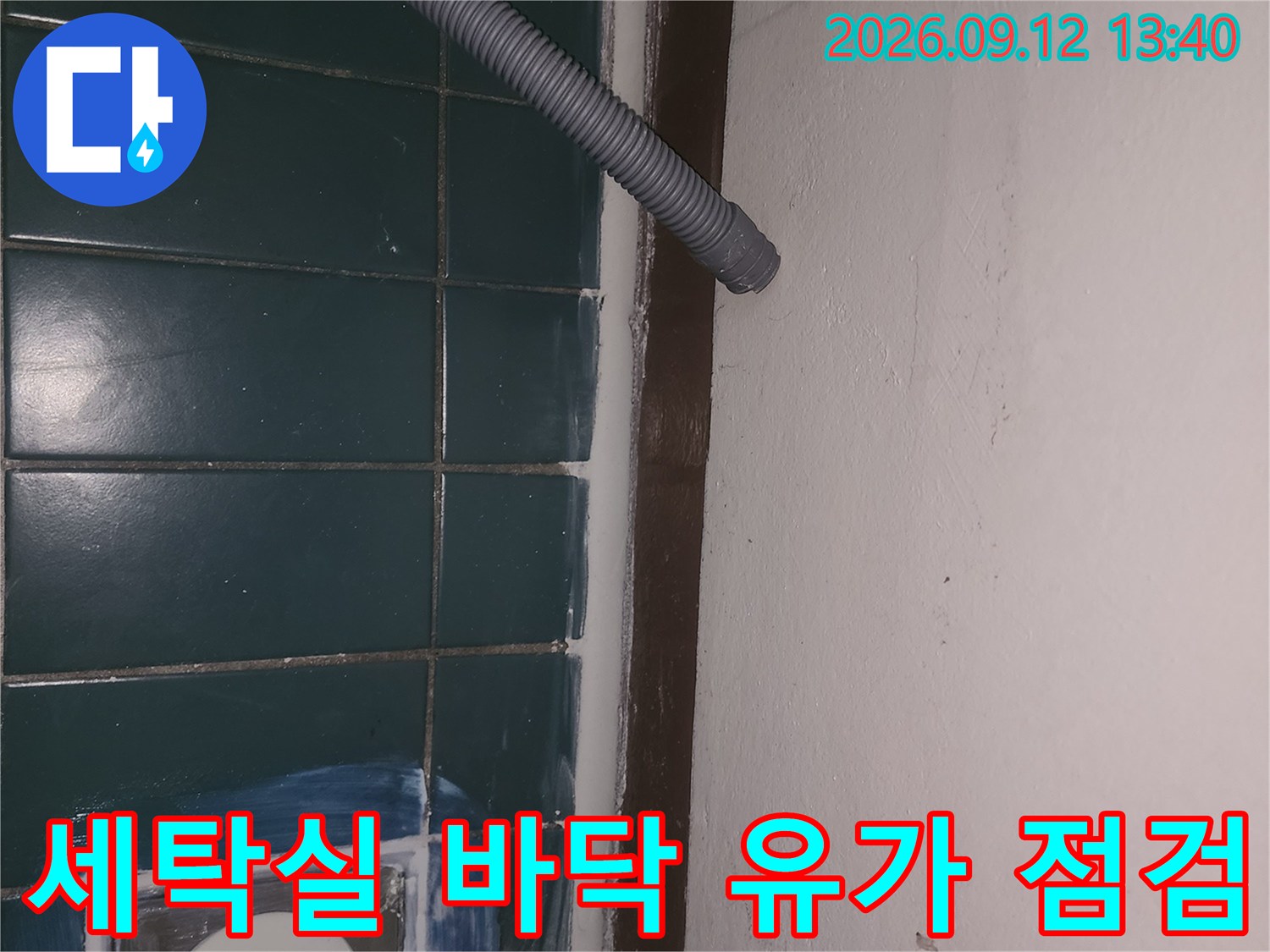 성동구 성수동 세탁실 배수구 주변 타일 및 유가 상태