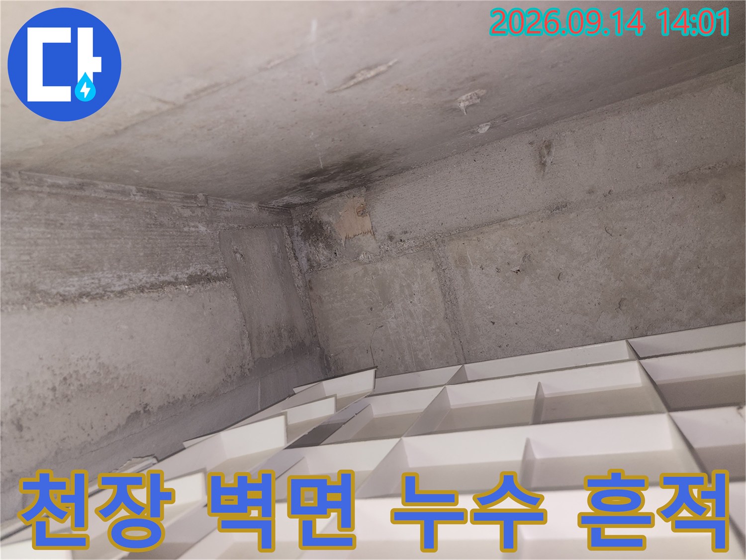 천장과 벽면 경계 부위의 젖은 얼룩 및 오염 상태