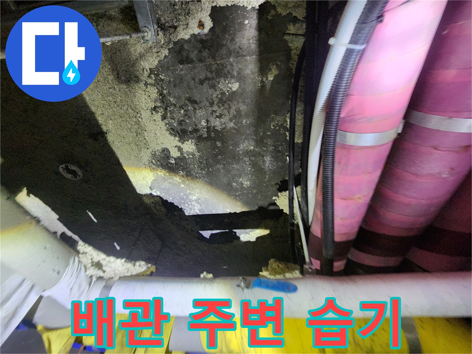 도화동 현장-물에 젖은 천장 콘크리트와 분홍색 보온 배관