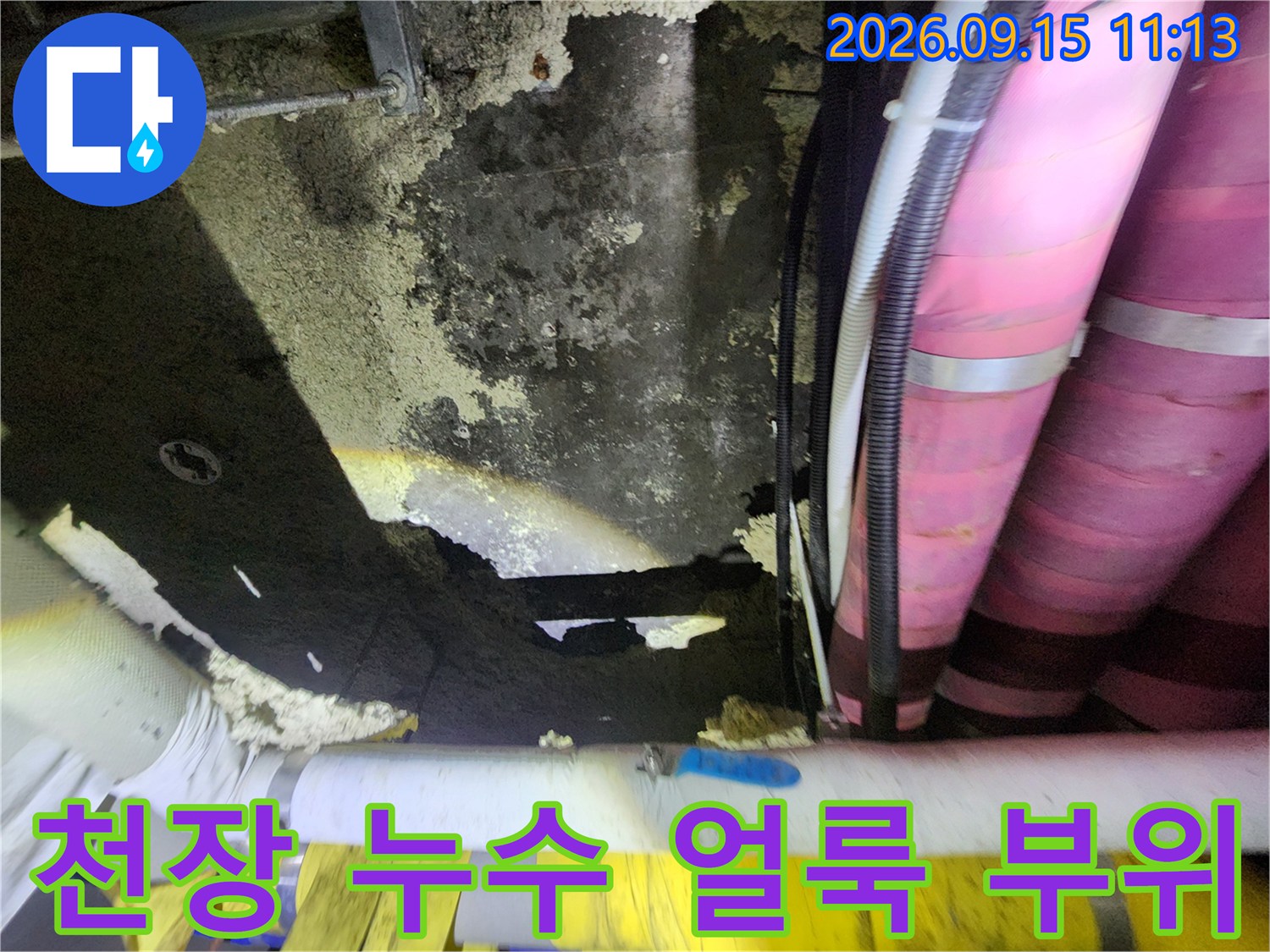 습기로 인해 검게 변한 천장 표면과 분홍색 보온재가 씌워진 배관입니다.