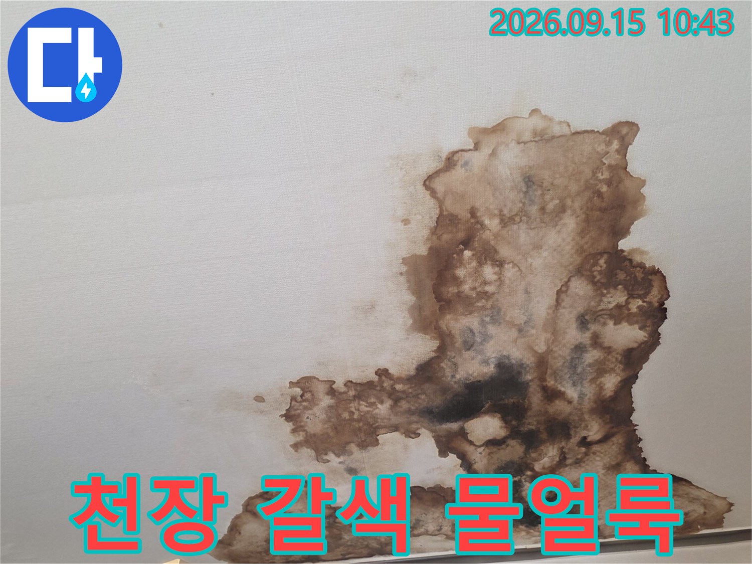 서초구 양재동 현장의 천장 벽지에 발생한 넓은 범위의 갈색 물얼룩 사진입니다.