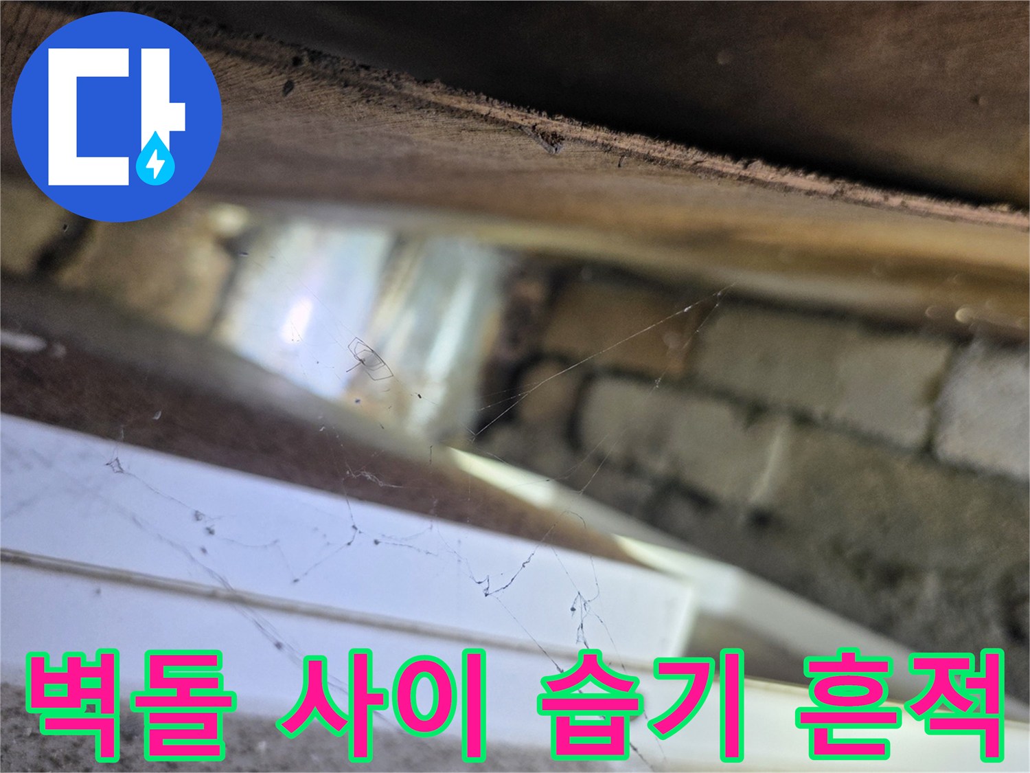 양재동 현장-천장 내부 목재와 벽체 사이의 물샘 흔적