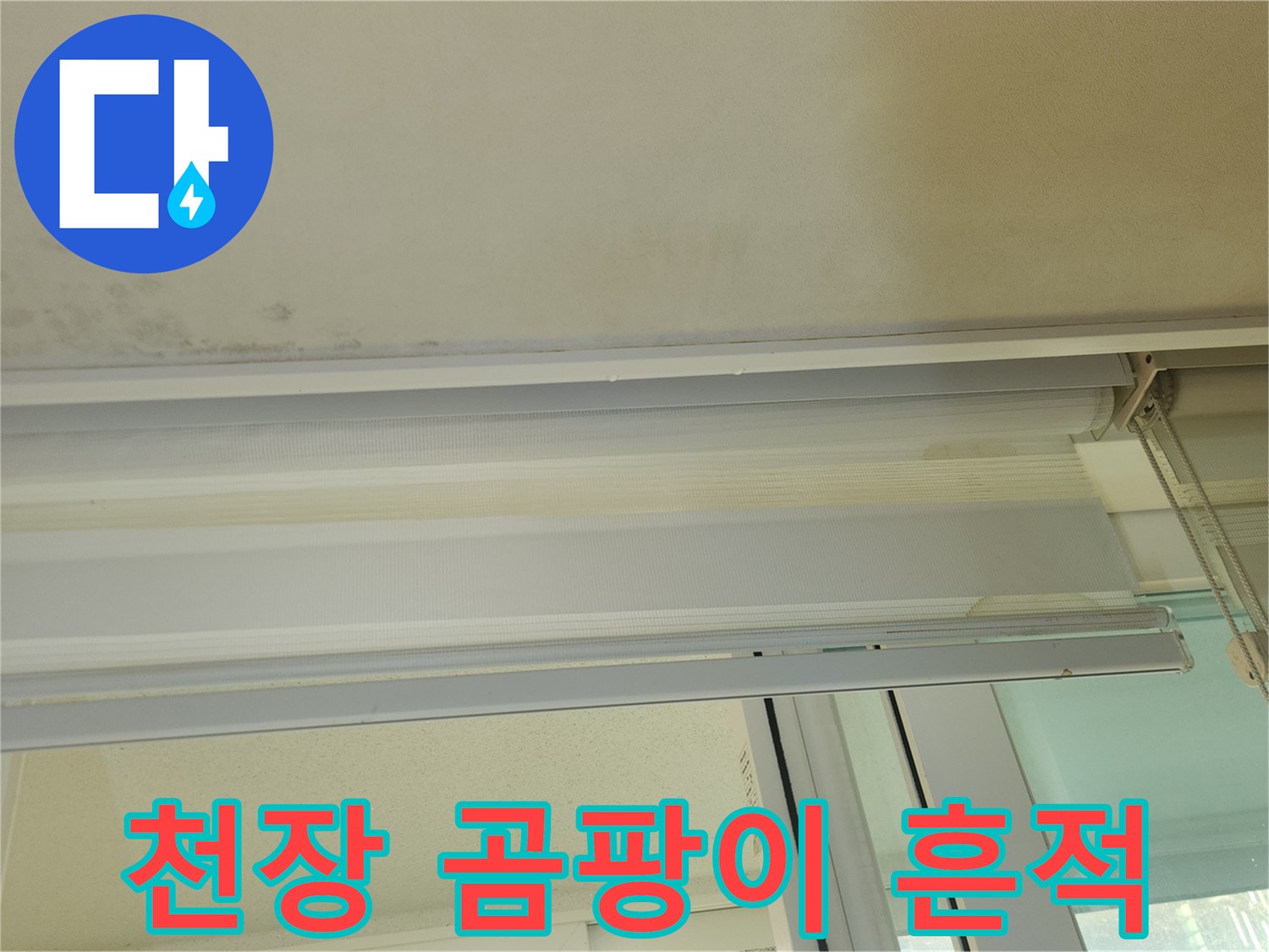 베란다 천장 마감재 부분에 나타난 곰팡이와 변색 현상